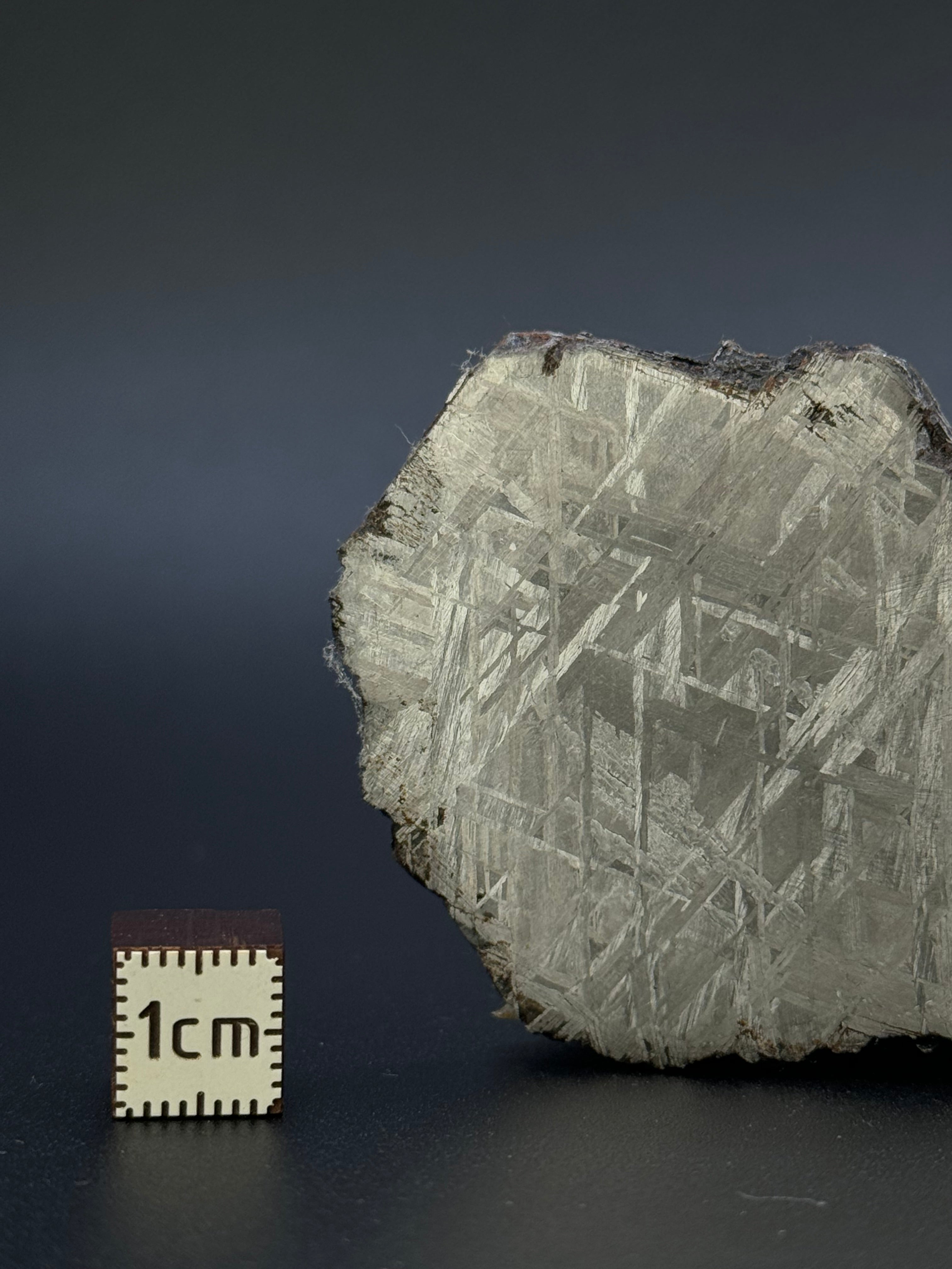 MUONIONALUSTA METEORITE, SWEDEN. 46,38 GRAMS.