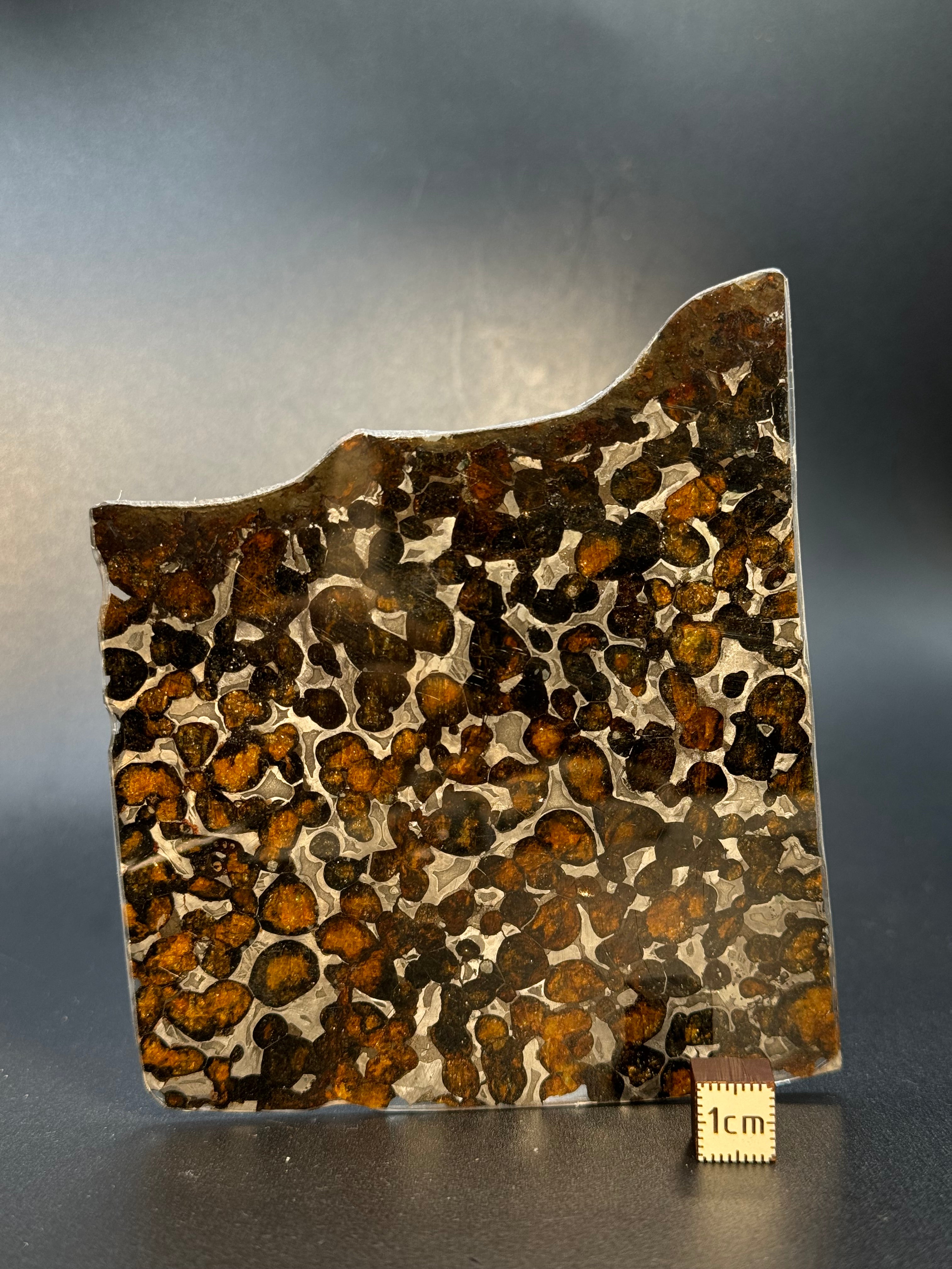 SERICHO METEORITE, KENYA. 66 GRAMS SLICE