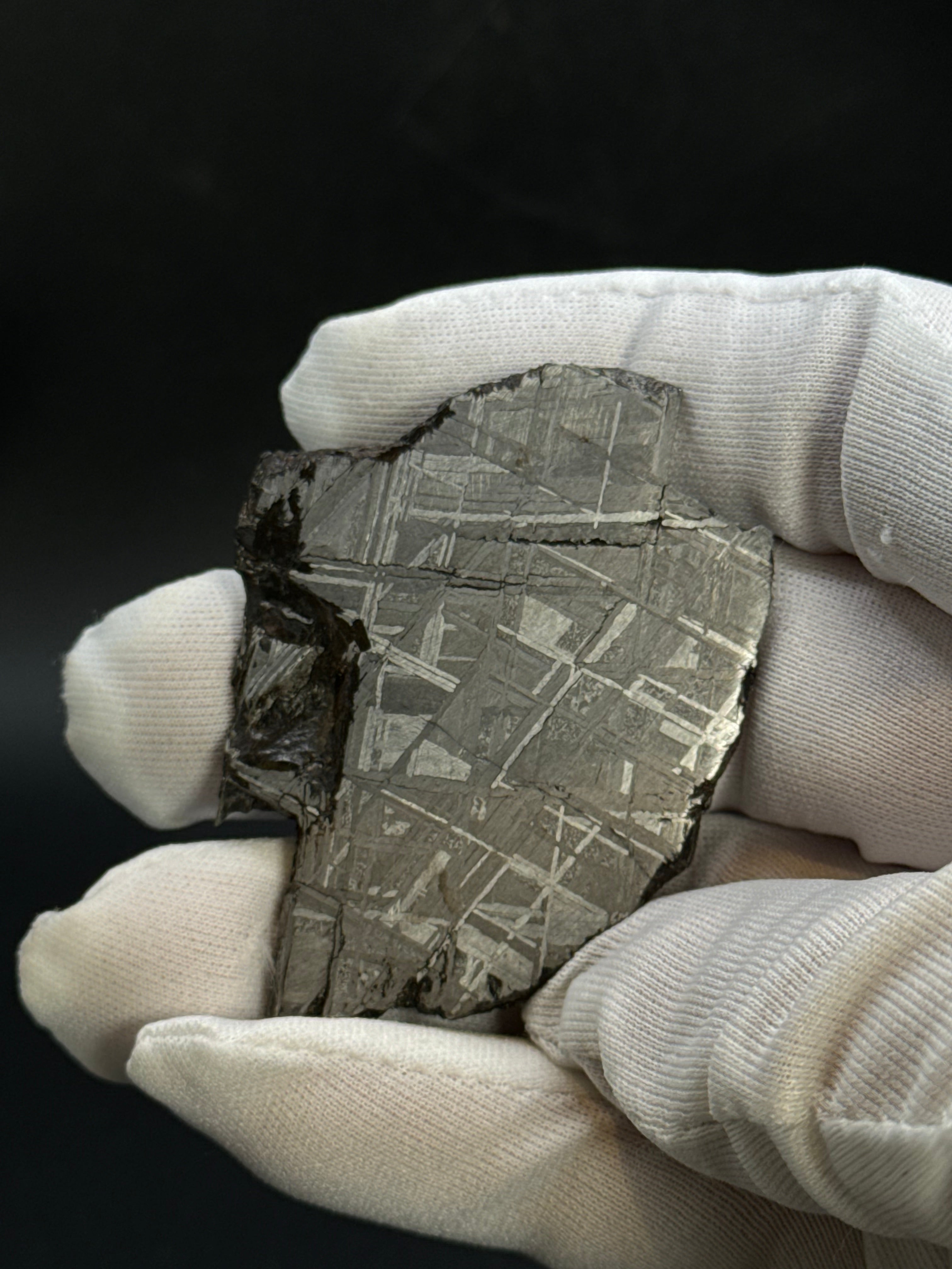 MUONIONALUSTA METEORITE, SWEDEN. 44,09 GRAMS.