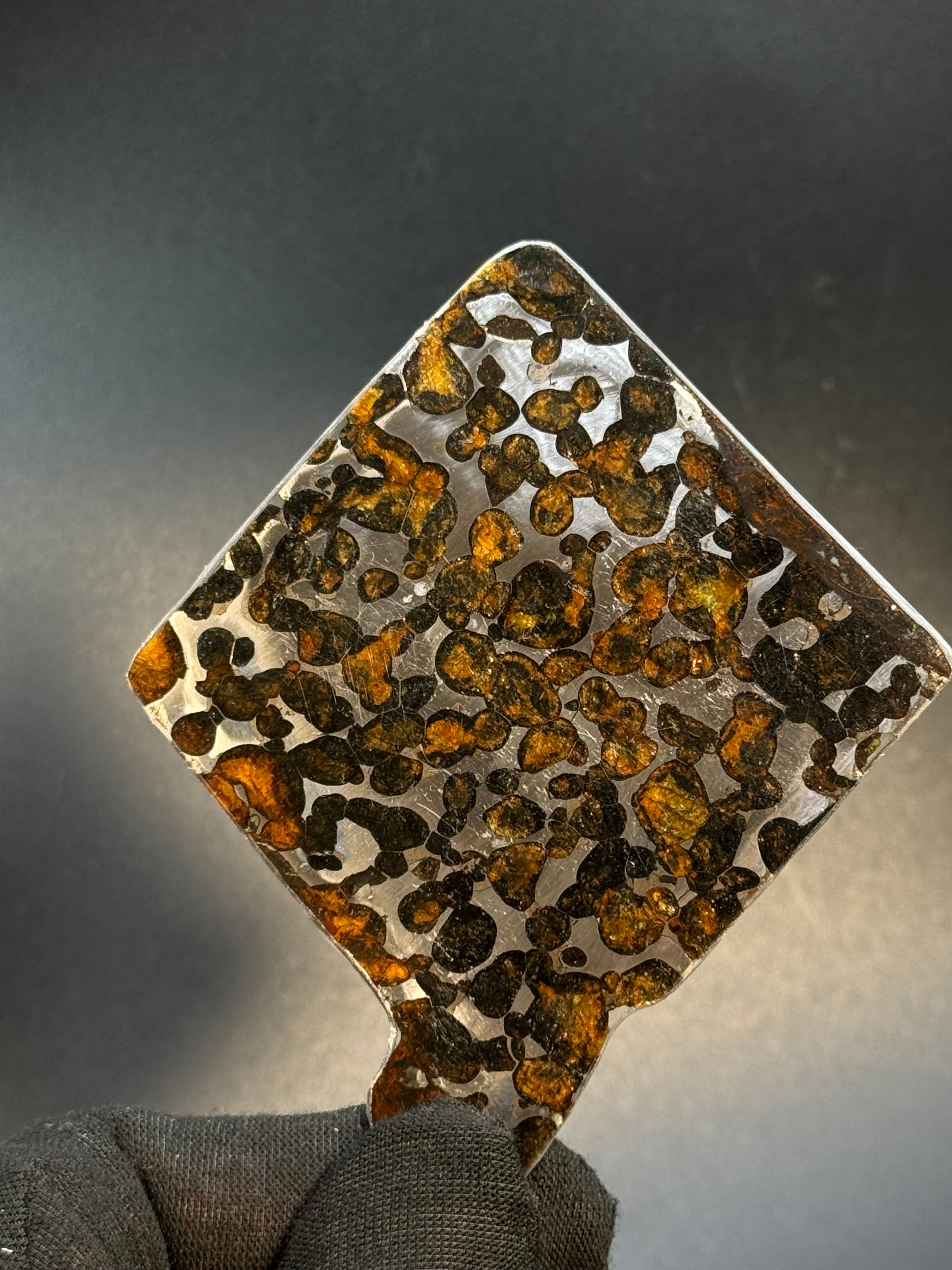 SERICHO METEORITE, KENYA. 30 GRAMS SLICE