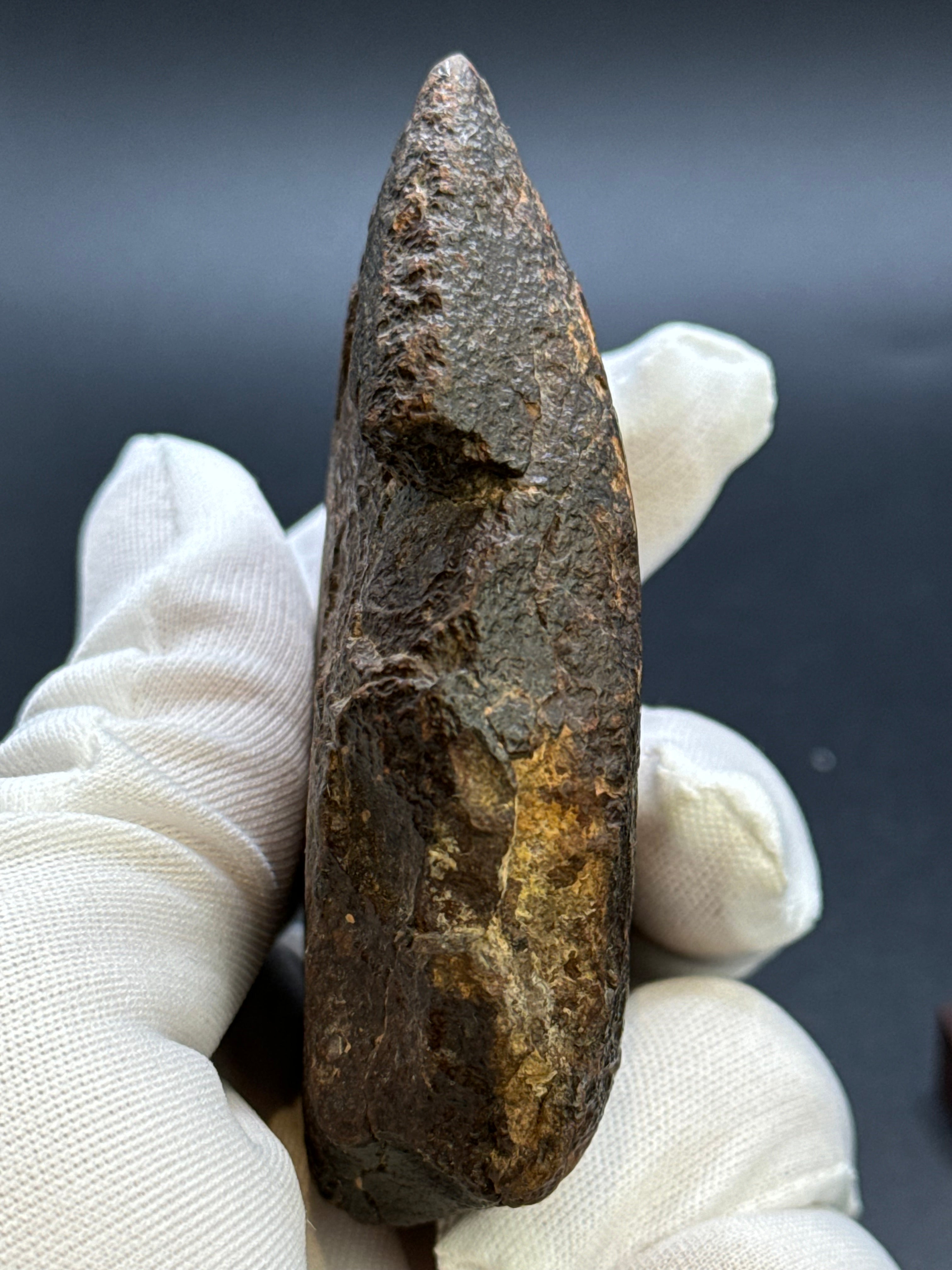 CHONDRITE METEORITE, NORTH WEST AFRICA. 232 GRAMS.