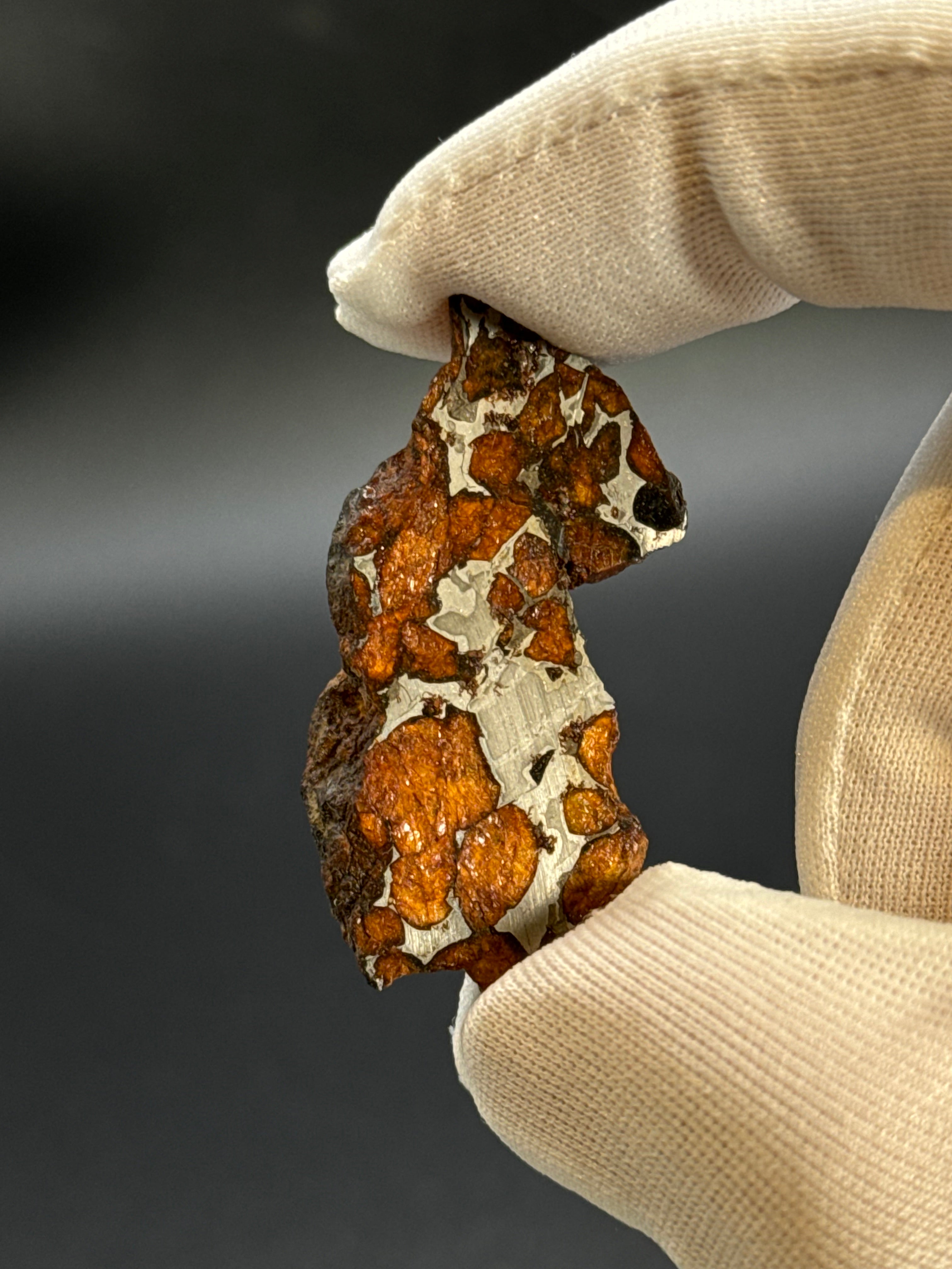SERICHO PALLASITE METEORITE, KENYA. 15,07 GRAMS END-CUT