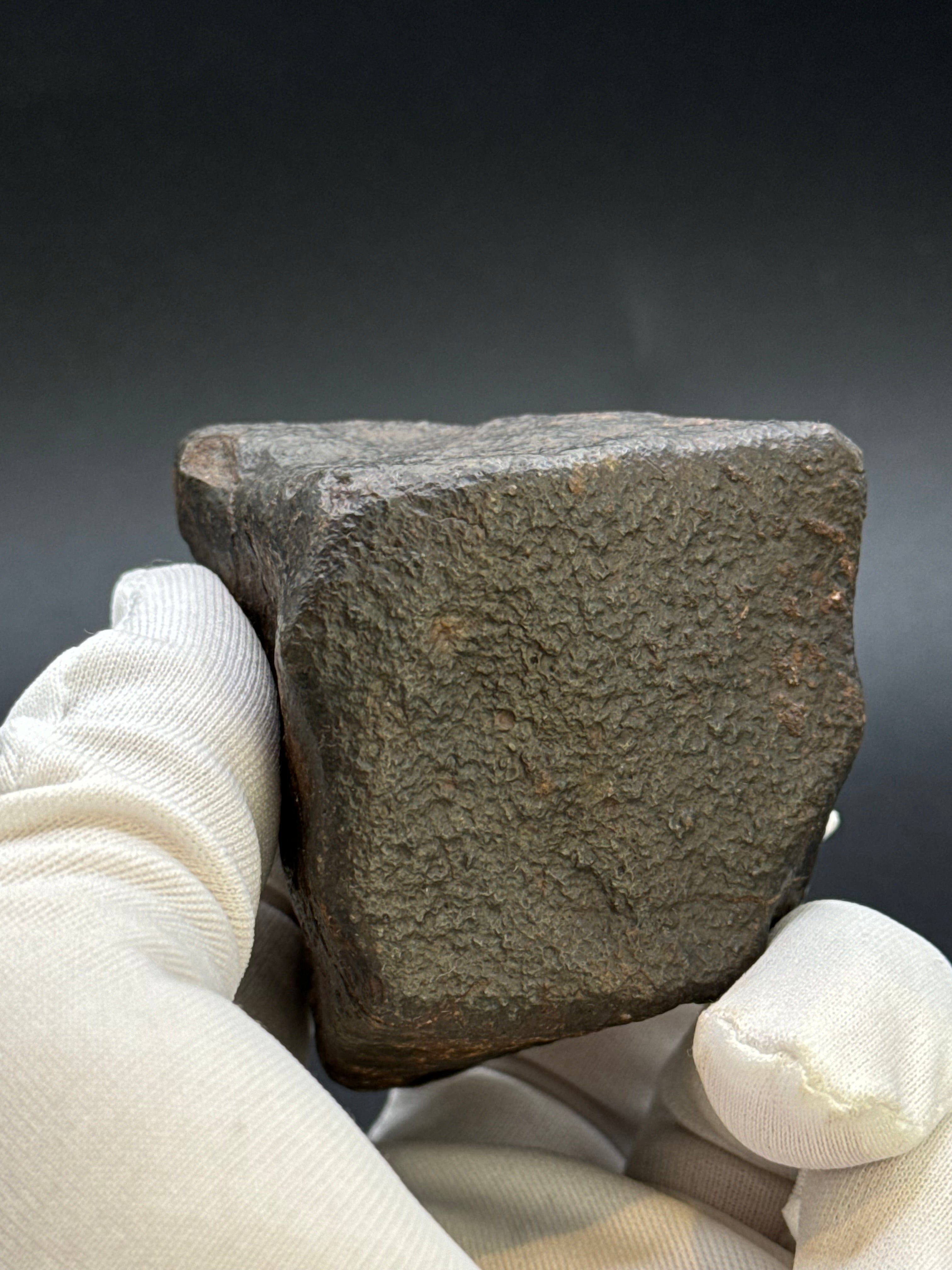 CHONDRITE METEORITE, NORTH WEST AFRICA. 263 GRAMS.
