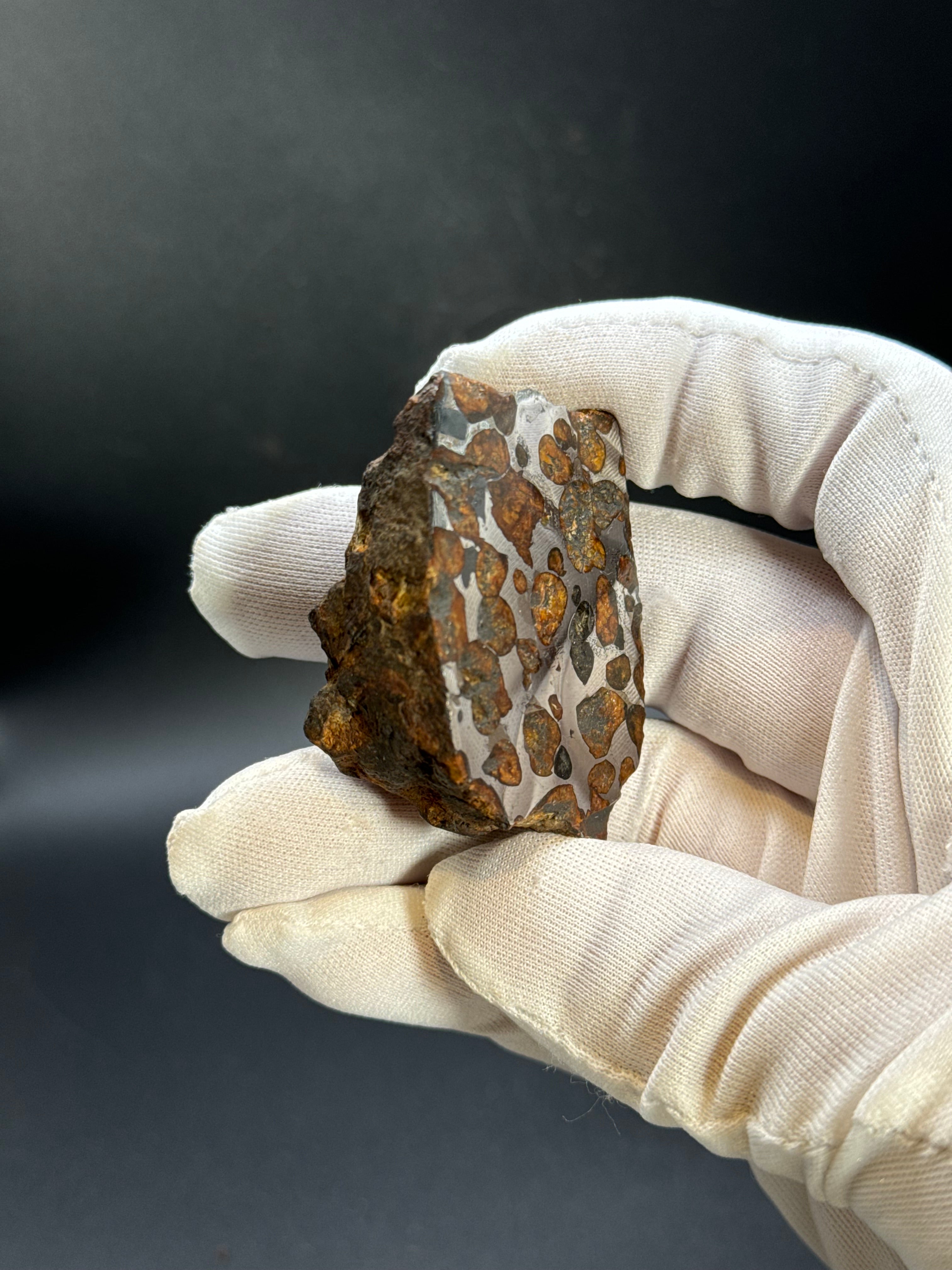 SERICHO PALLASITE METEORITE, KENYA. 92,90 GRAMS END-CUT.