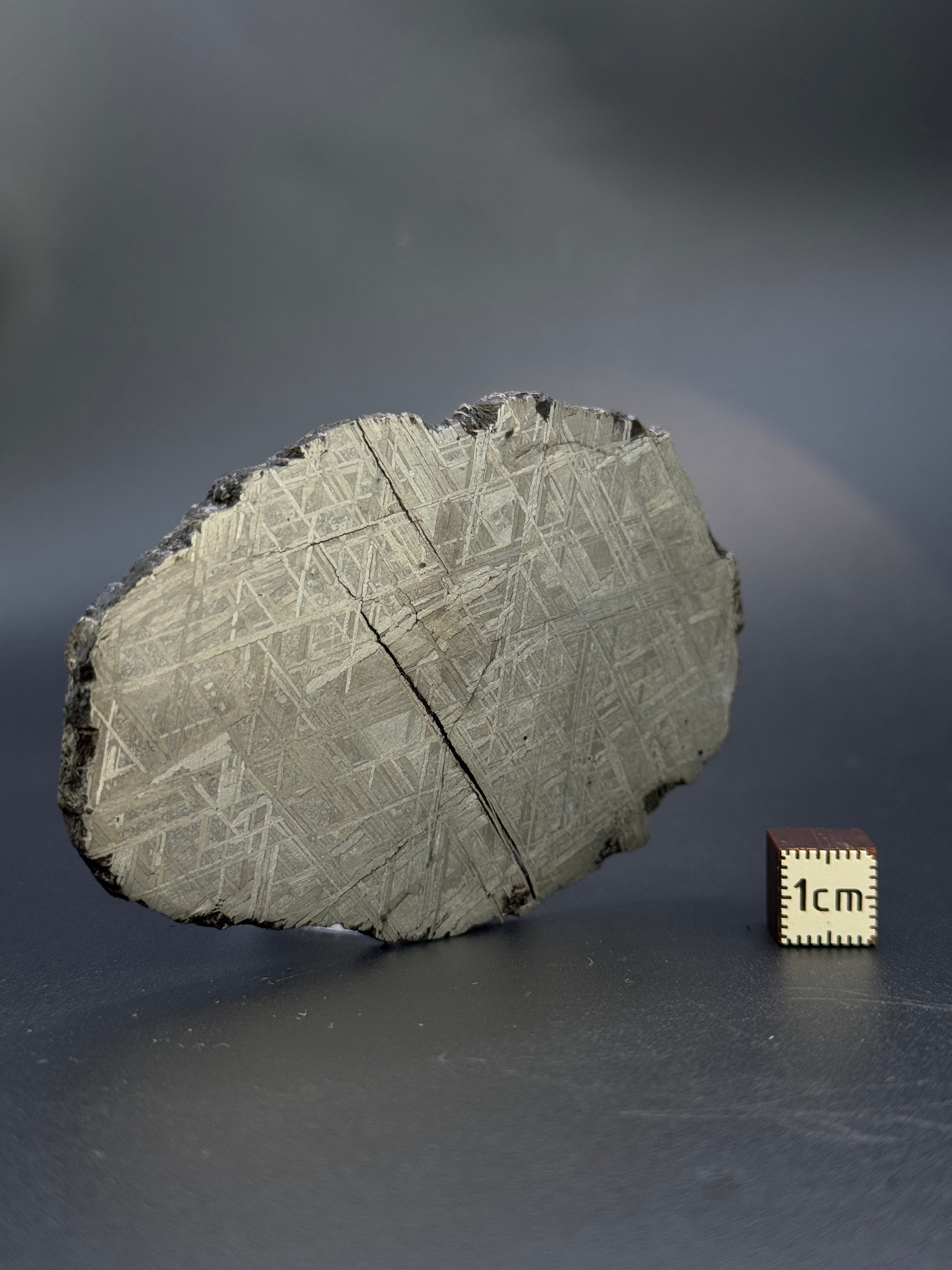 MUONIONALUSTA METEORITE, SWEDEN. 86 GRAMS.