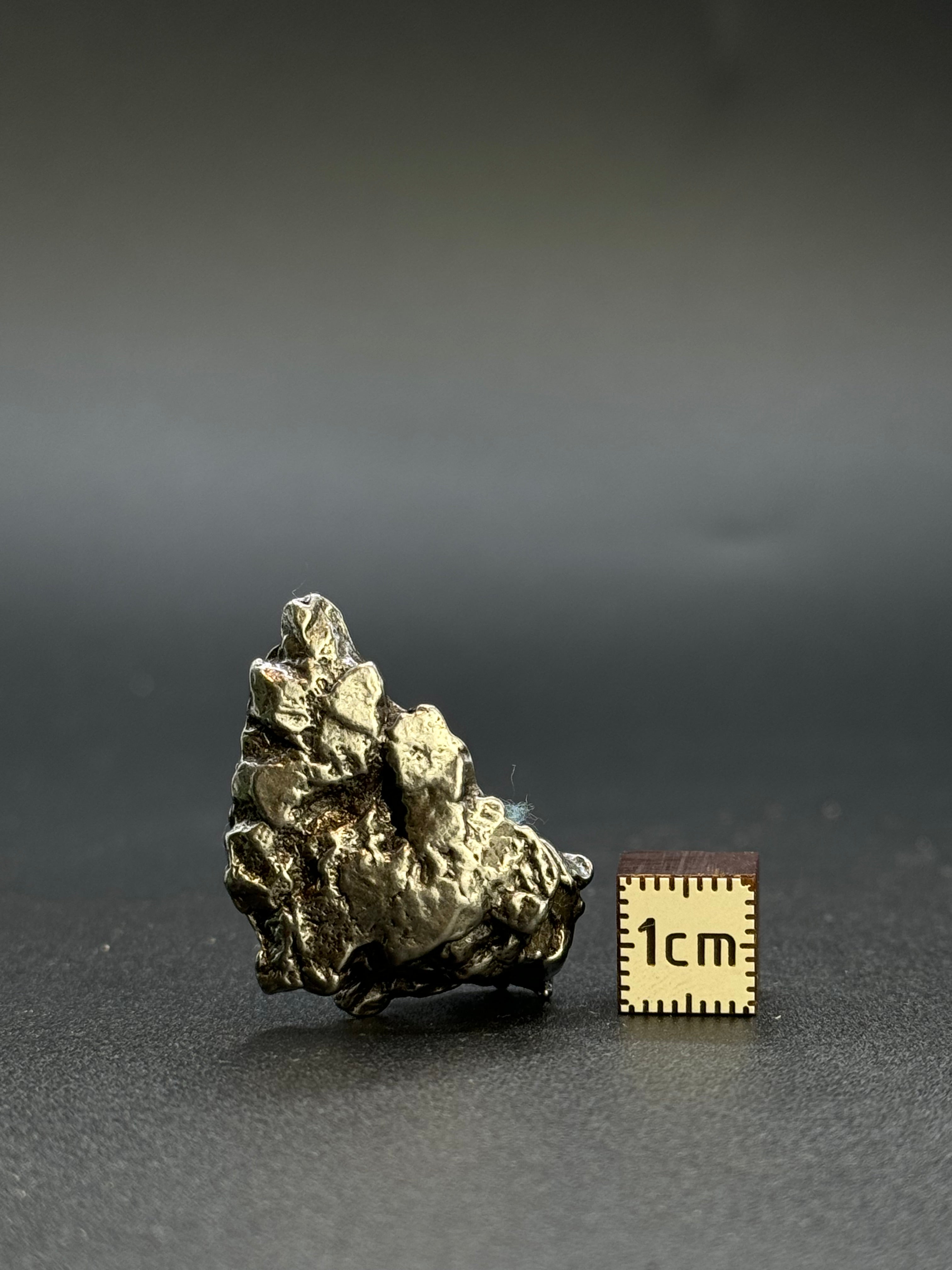 CAMPO DEL CIELO METEORITE, SOUTH AMERICA. 22,30 GRAMS.