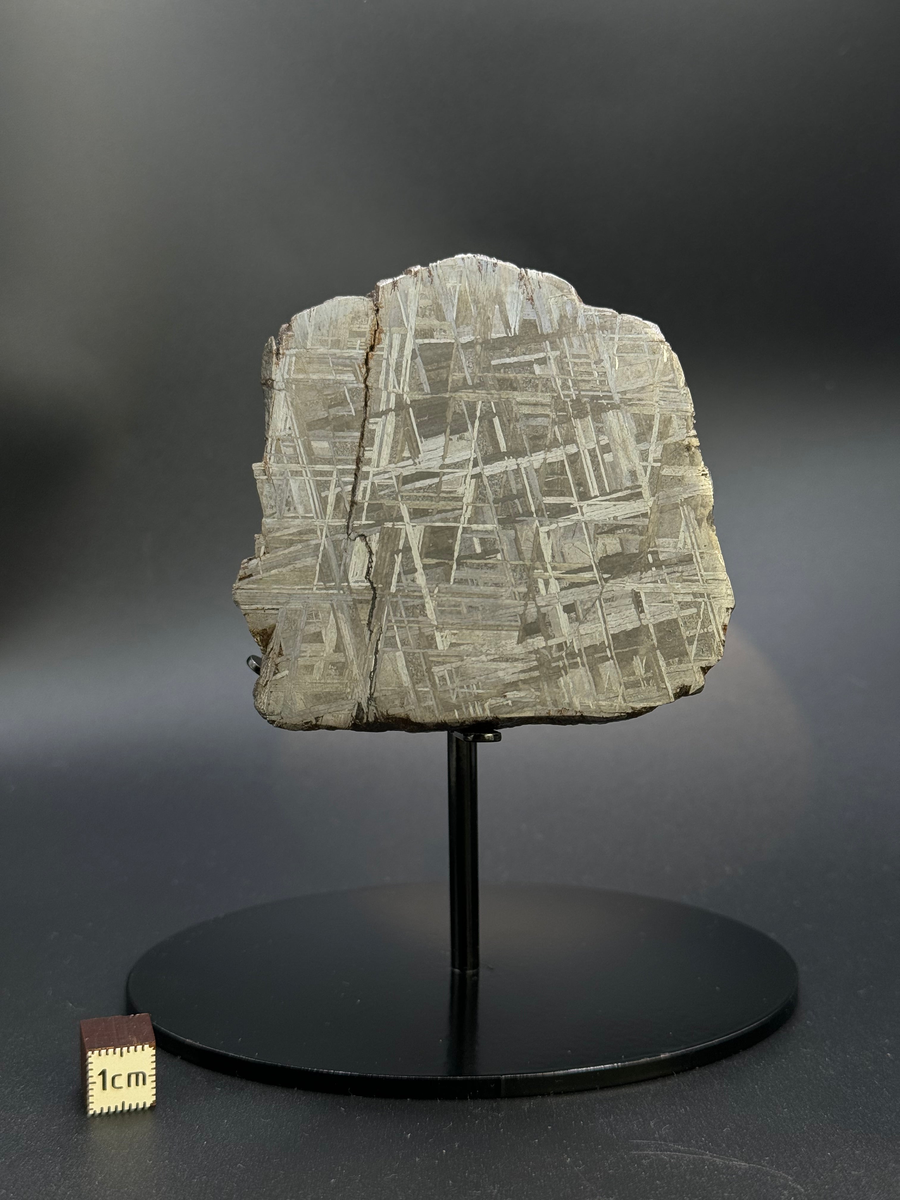 MUONIONALUSTA METEORITE, SWEDEN. 701 GRAMS END-CUT.