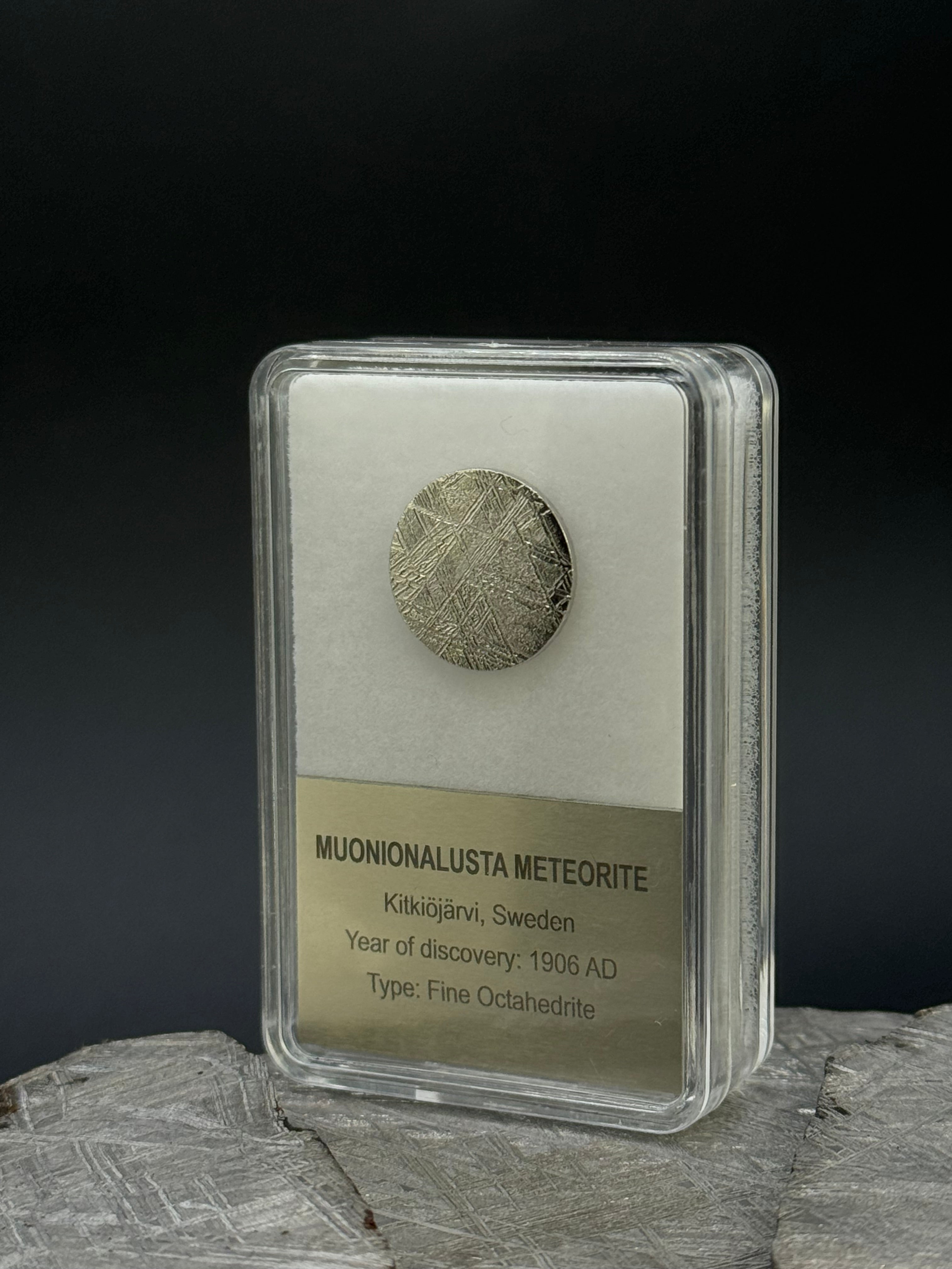 Muonionalusta meteorite, Sweden. Display box. 15mm diameter plate.