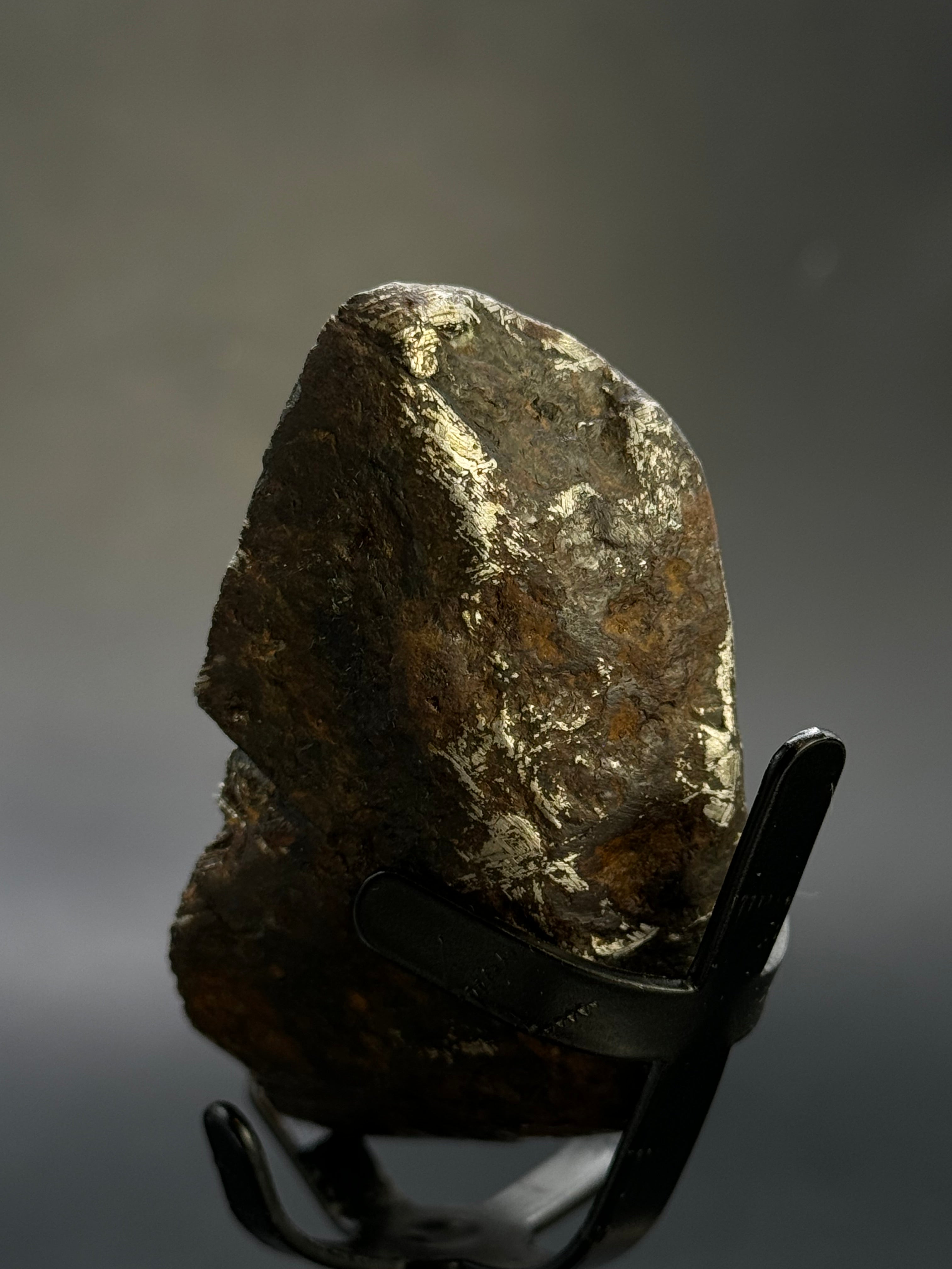 MUONIONALUSTA METEORITE, SWEDEN. 180 GRAMS END-CUT.