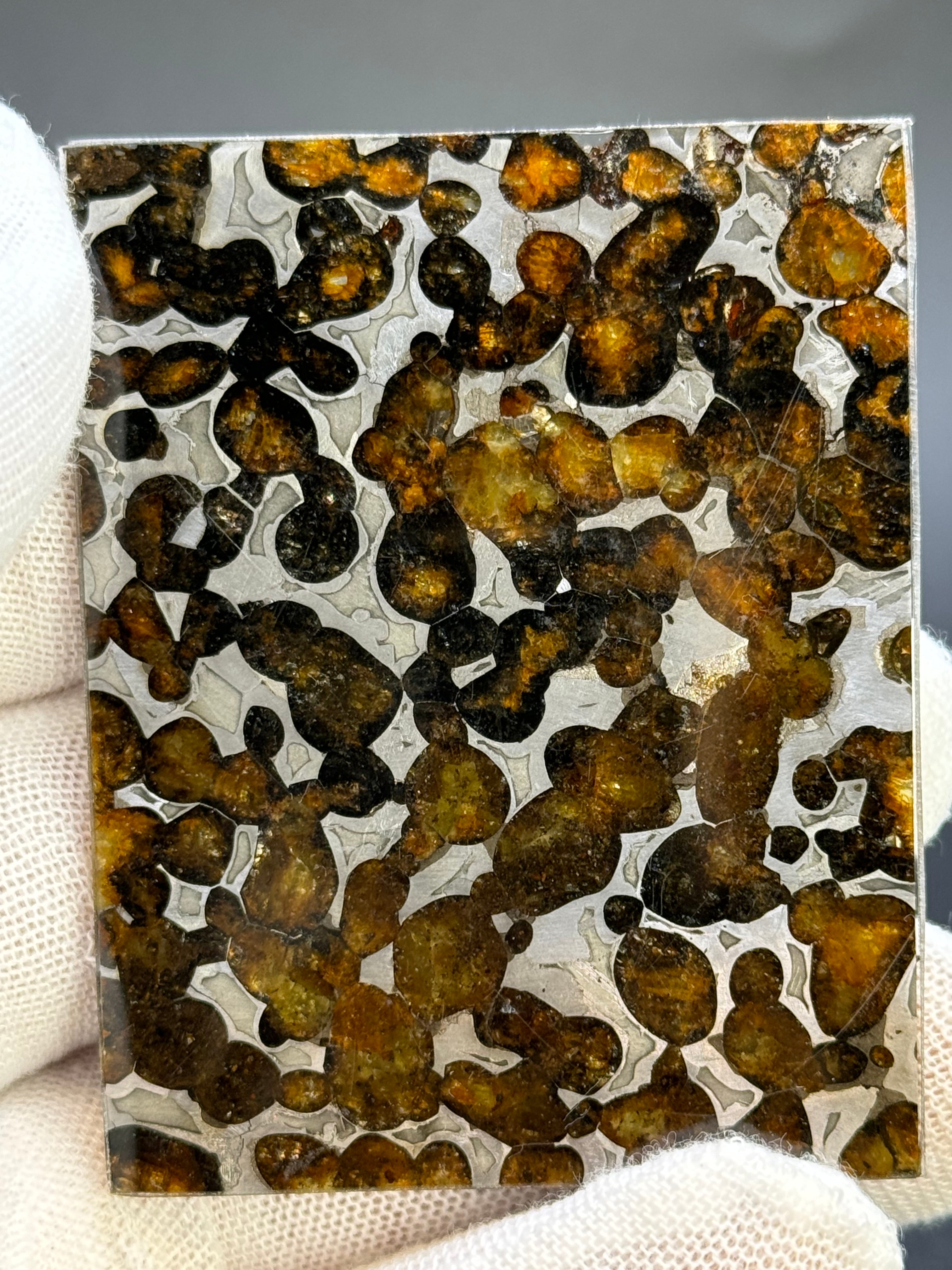 SERICHO METEORITE, KENYA. 26,10 GRAMS SLICE