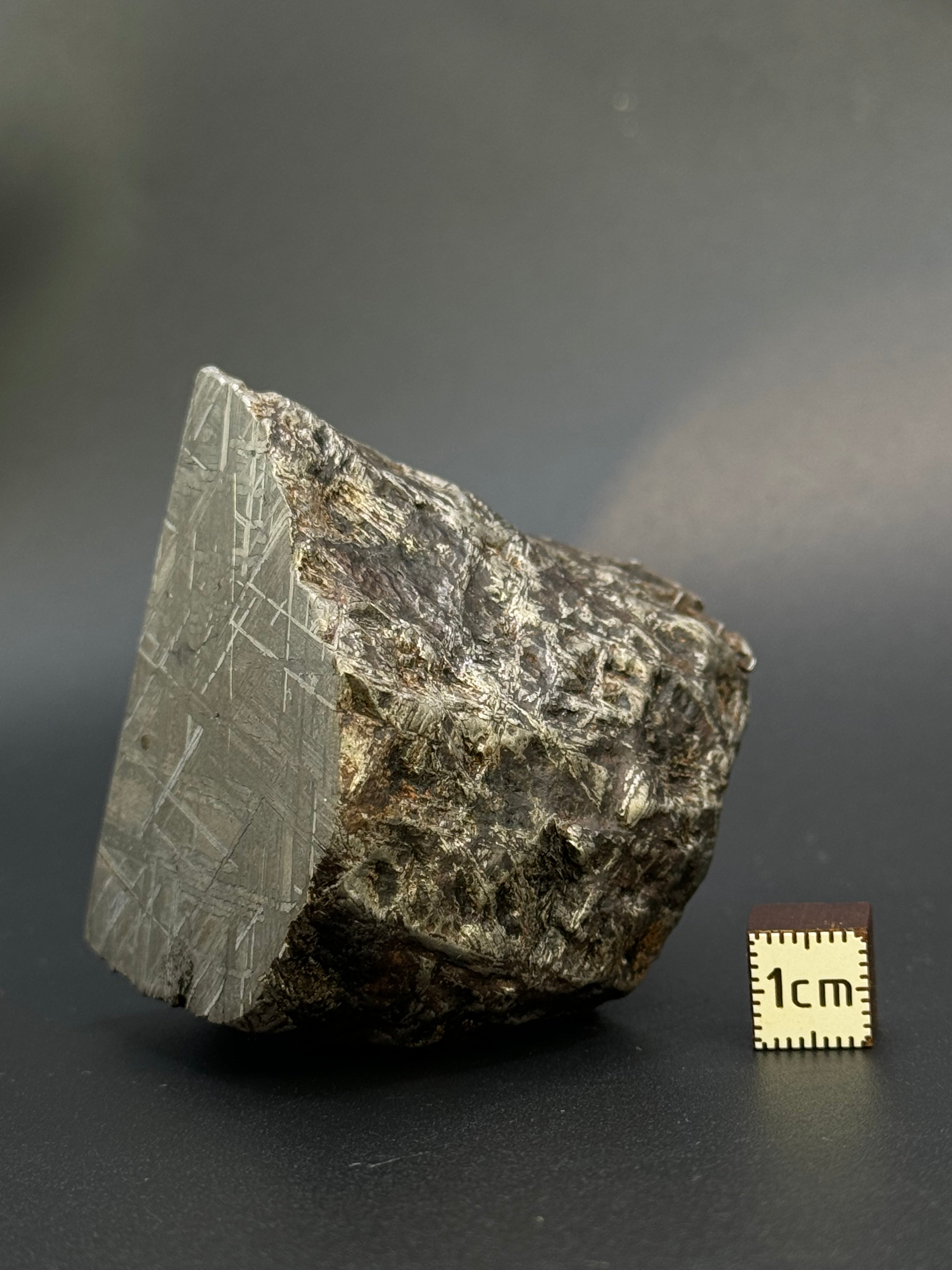 MUONIONALUSTA METEORITE, SWEDEN. 487 GRAMS END-CUT.