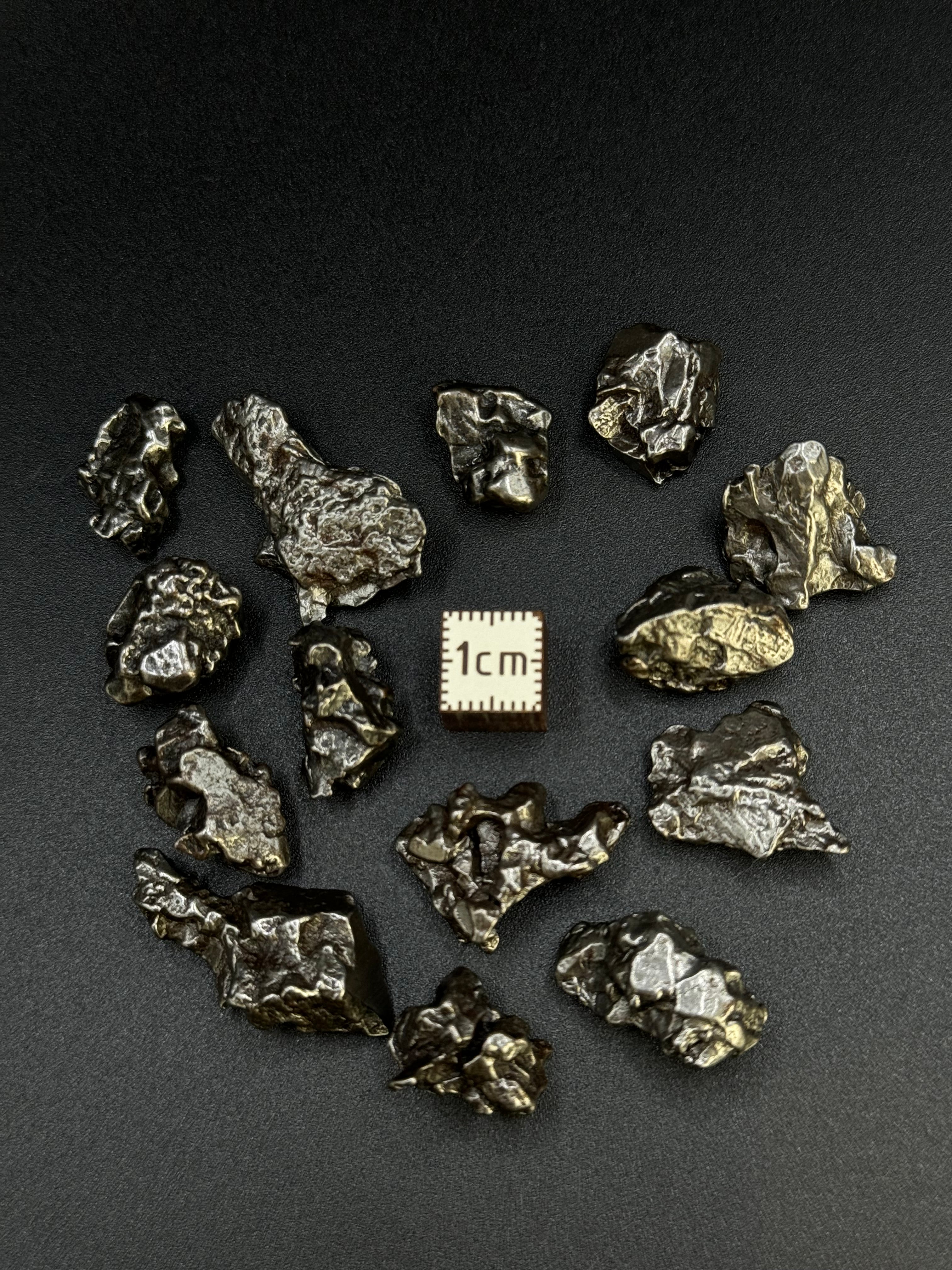 CAMPO DEL CIELO, SOUTH AMERICA. 61,86 GRAMS LOT.