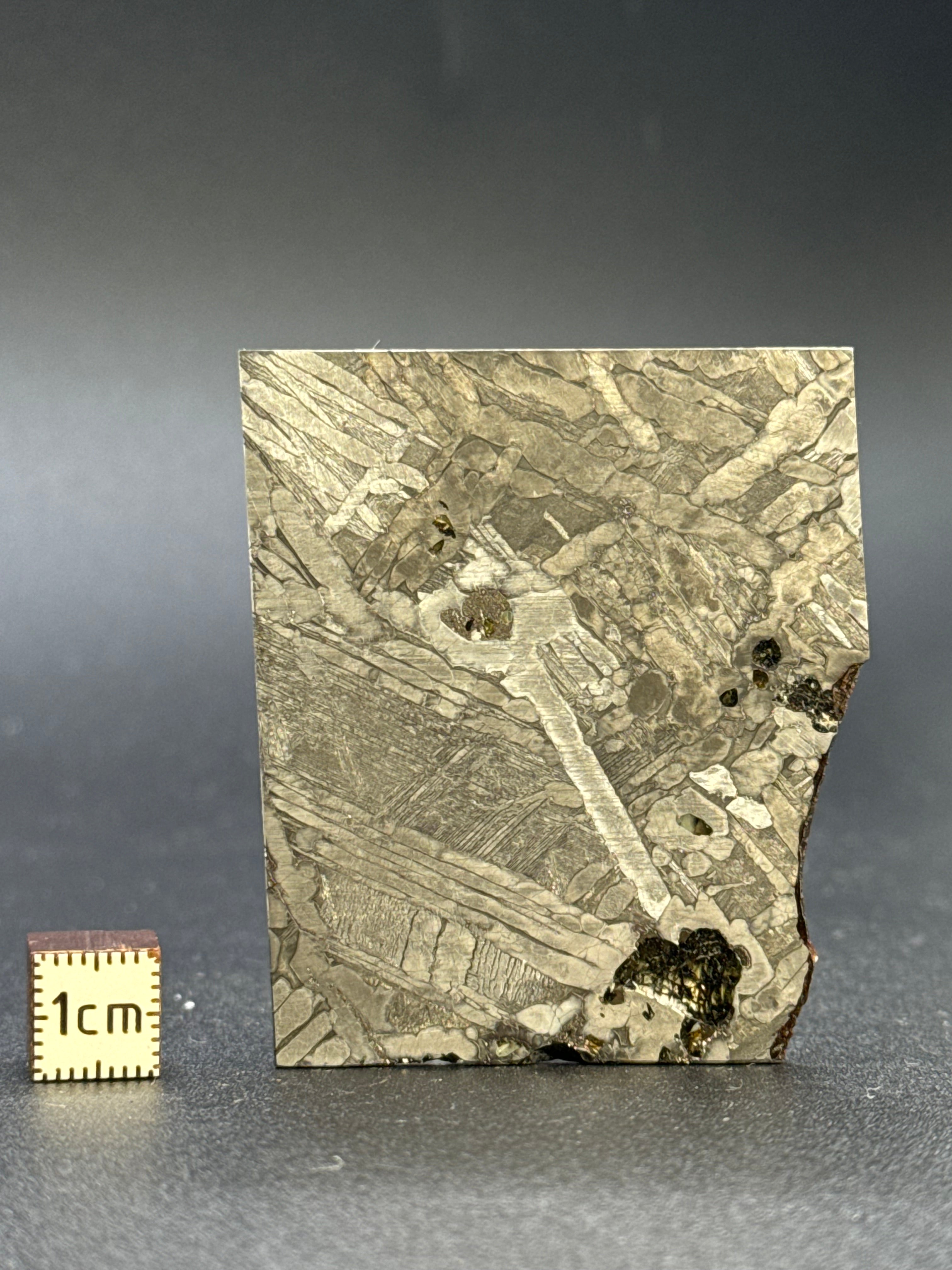 SEYMCHAN METEORITE, MAGADAN REGION, RUSSIA. 35,1 GRAMS.