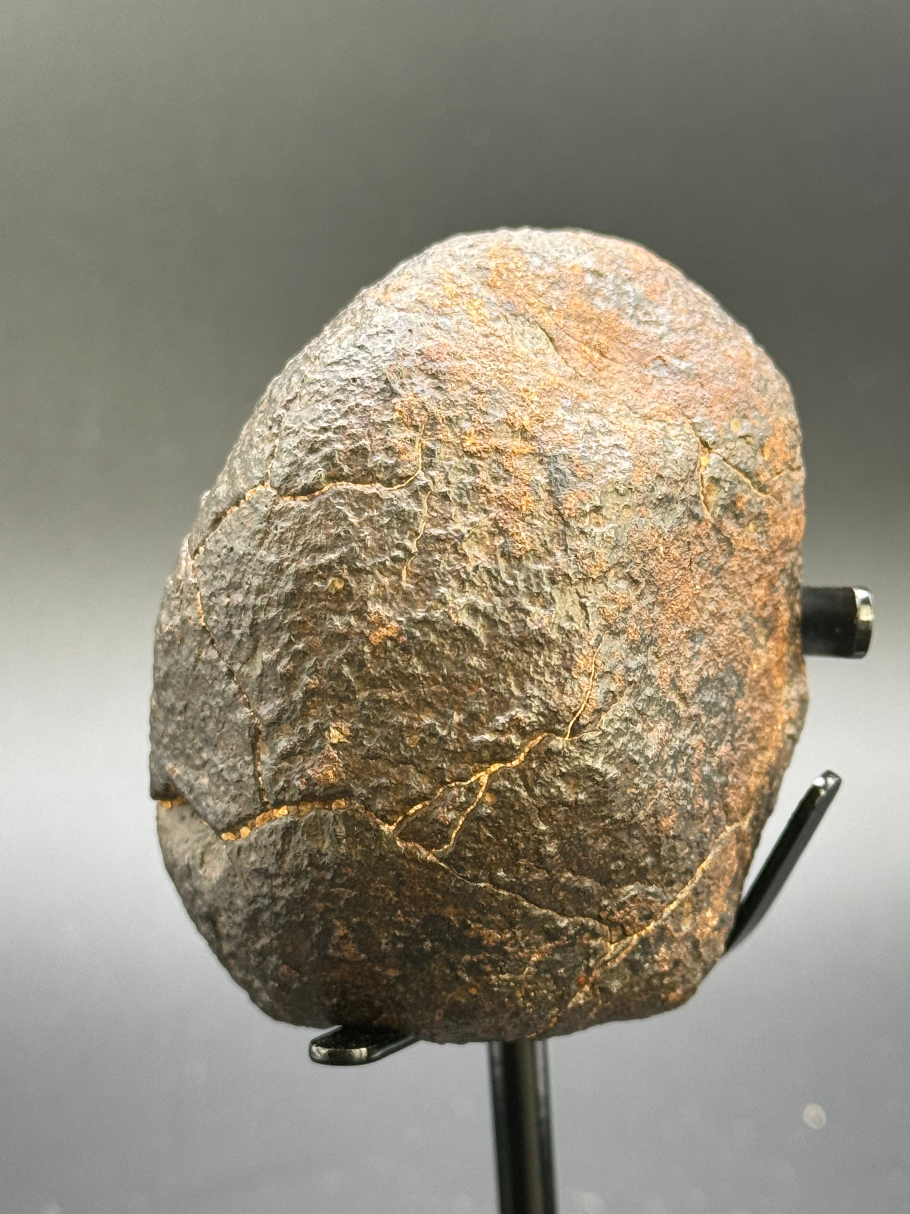CHONDRITE METEORITE, NORTH WEST AFRICA. 178 GRAMS.