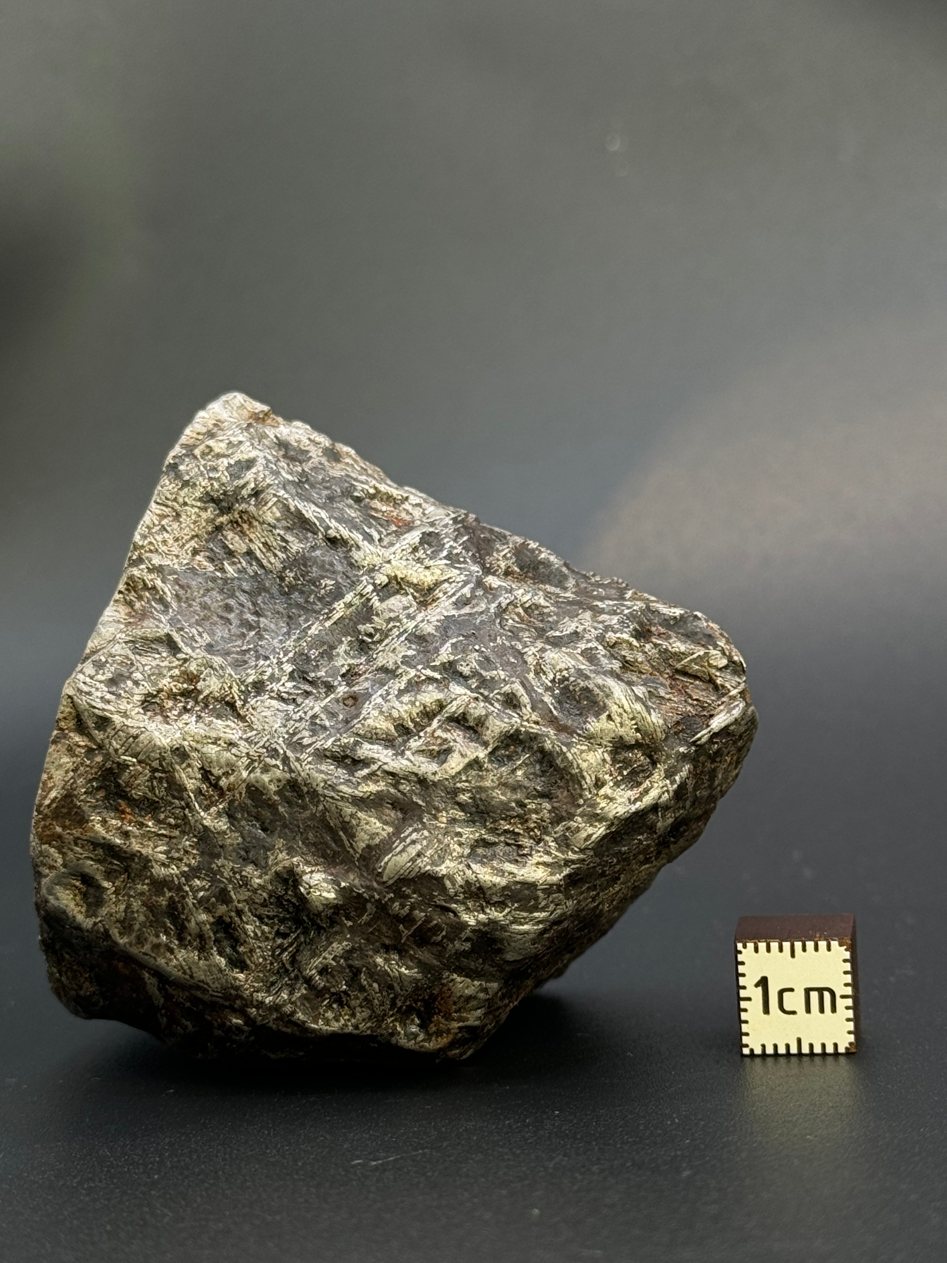 MUONIONALUSTA METEORITE, SWEDEN. 487 GRAMS END-CUT.