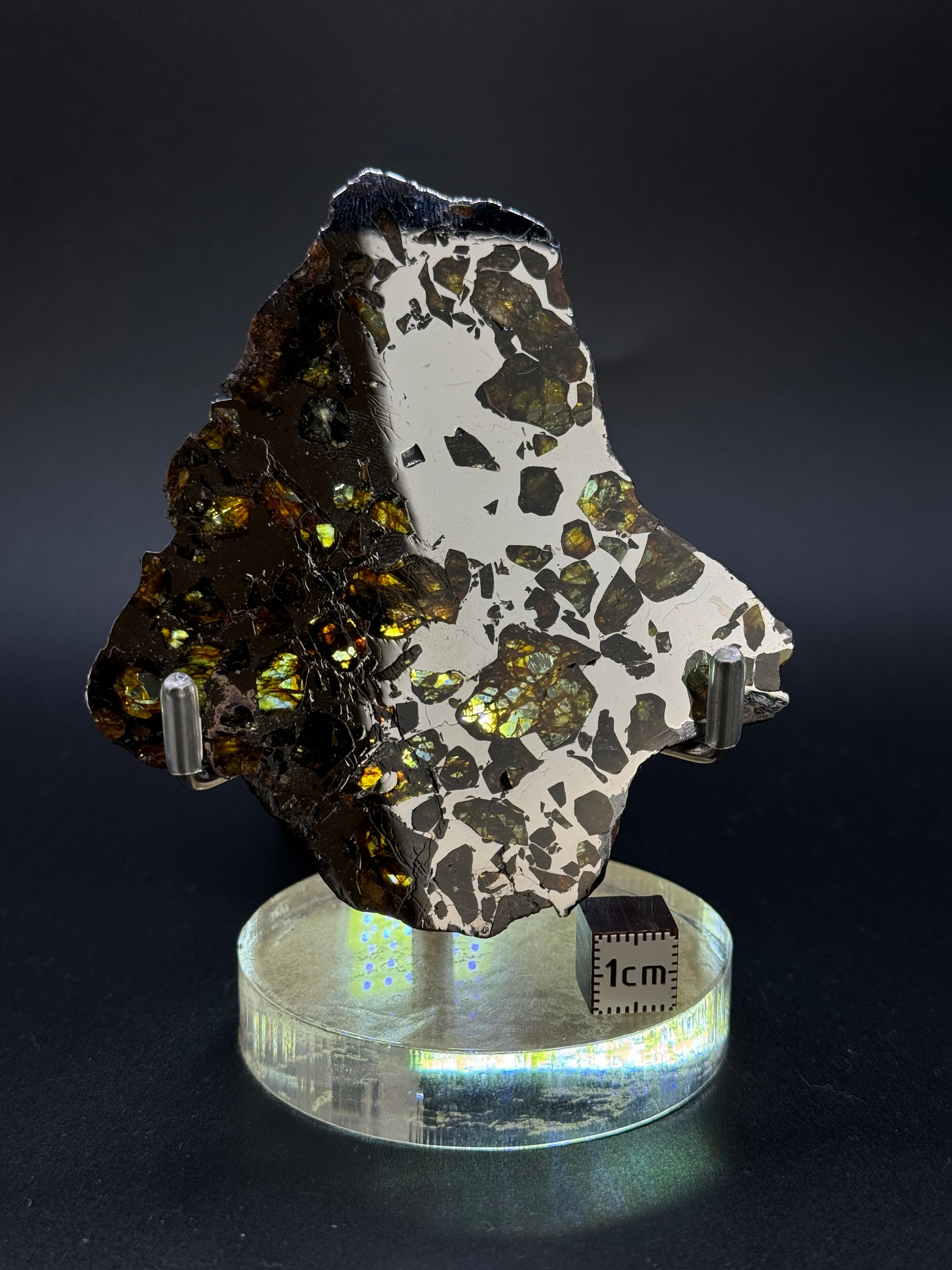 SEYMCHAN METEORITE, MAGADAN REGION, RUSSIA. 41,1 GRAMS.