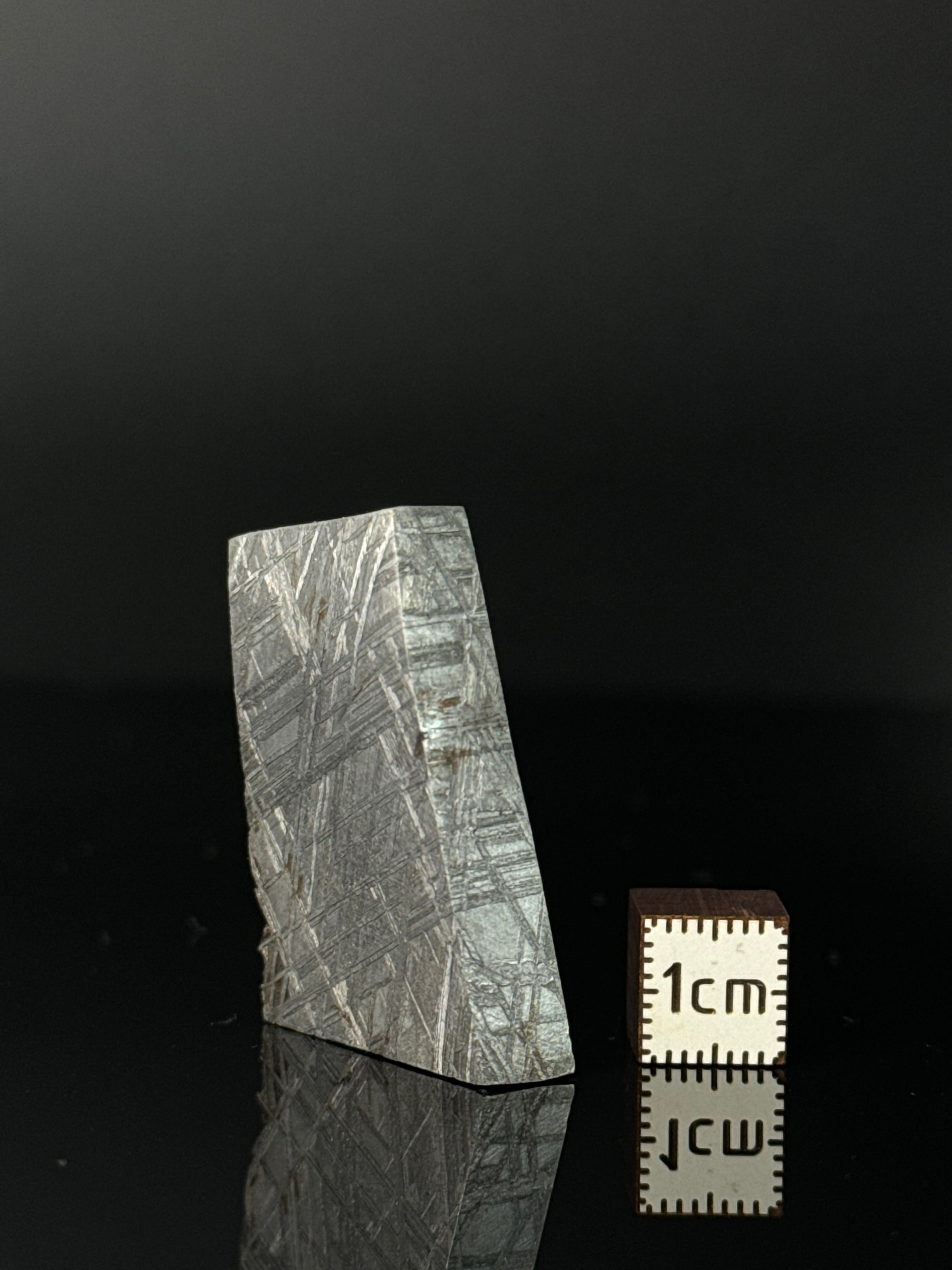 MUONIONALUSTA METEORITE, SWEDEN 42,78 GRAMS.