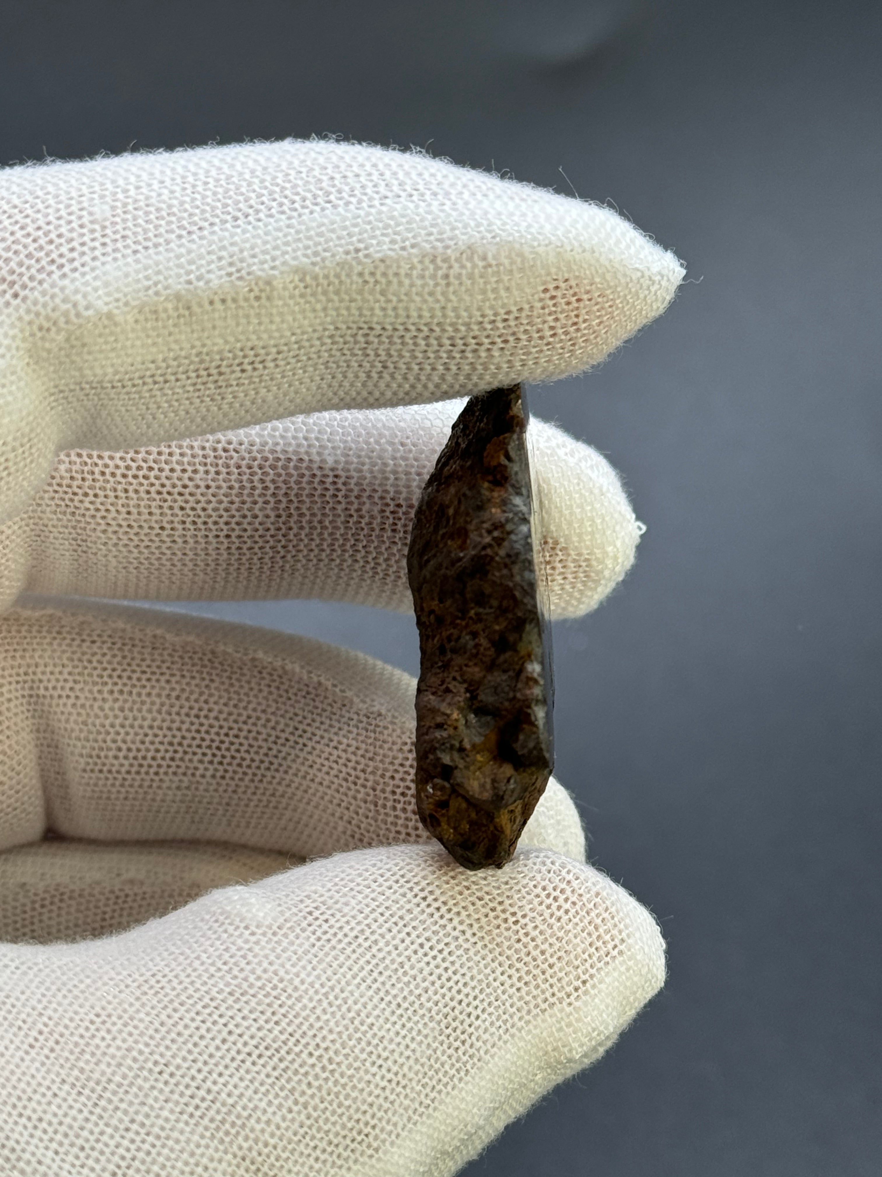 SERICHO PALLASITE METEORITE, KENYA. 24,94 GRAMS END-CUT