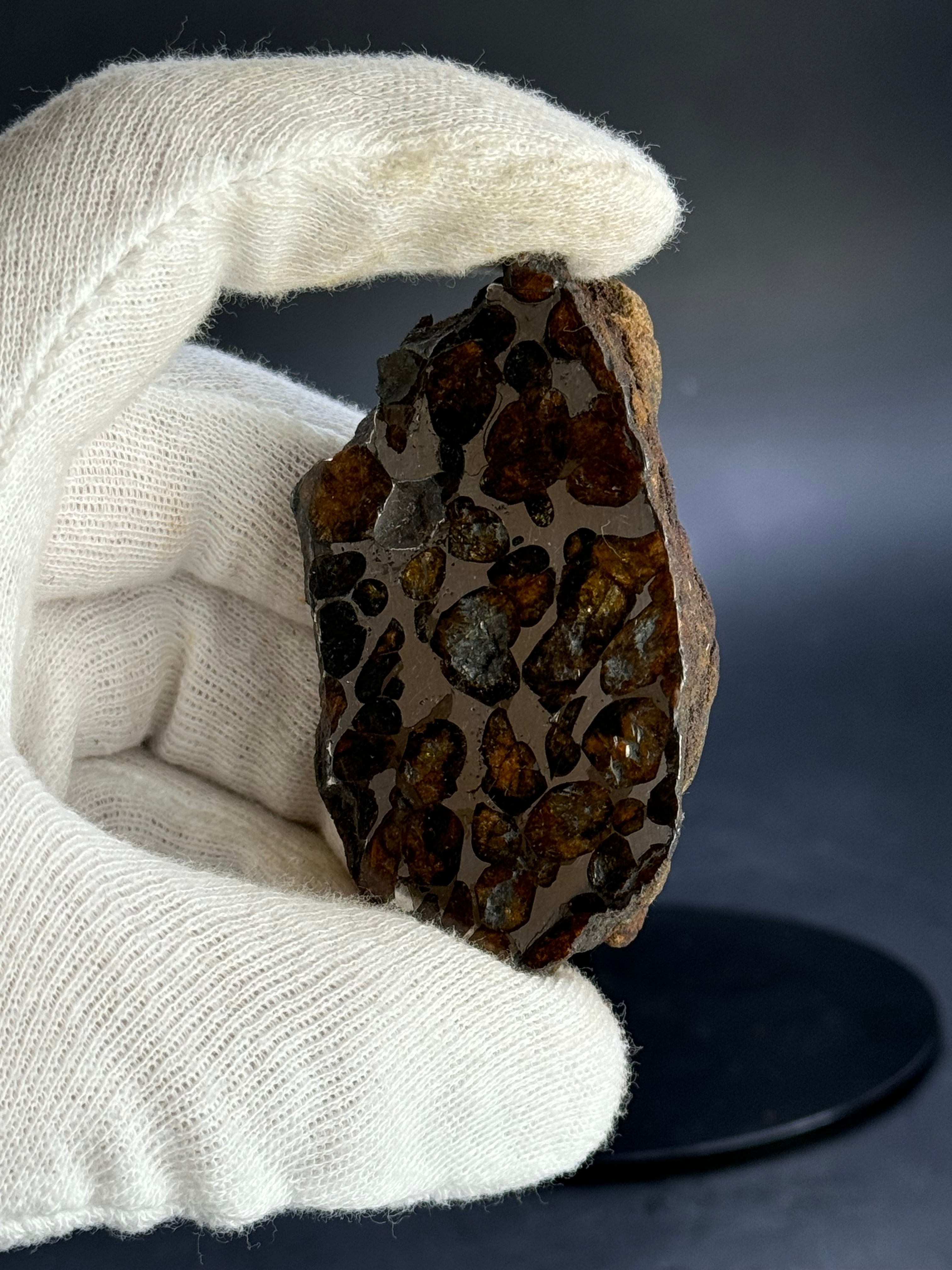 SERICHO PALLASITE METEORITE, KENYA. 143,41 GRAMS END-CUT.