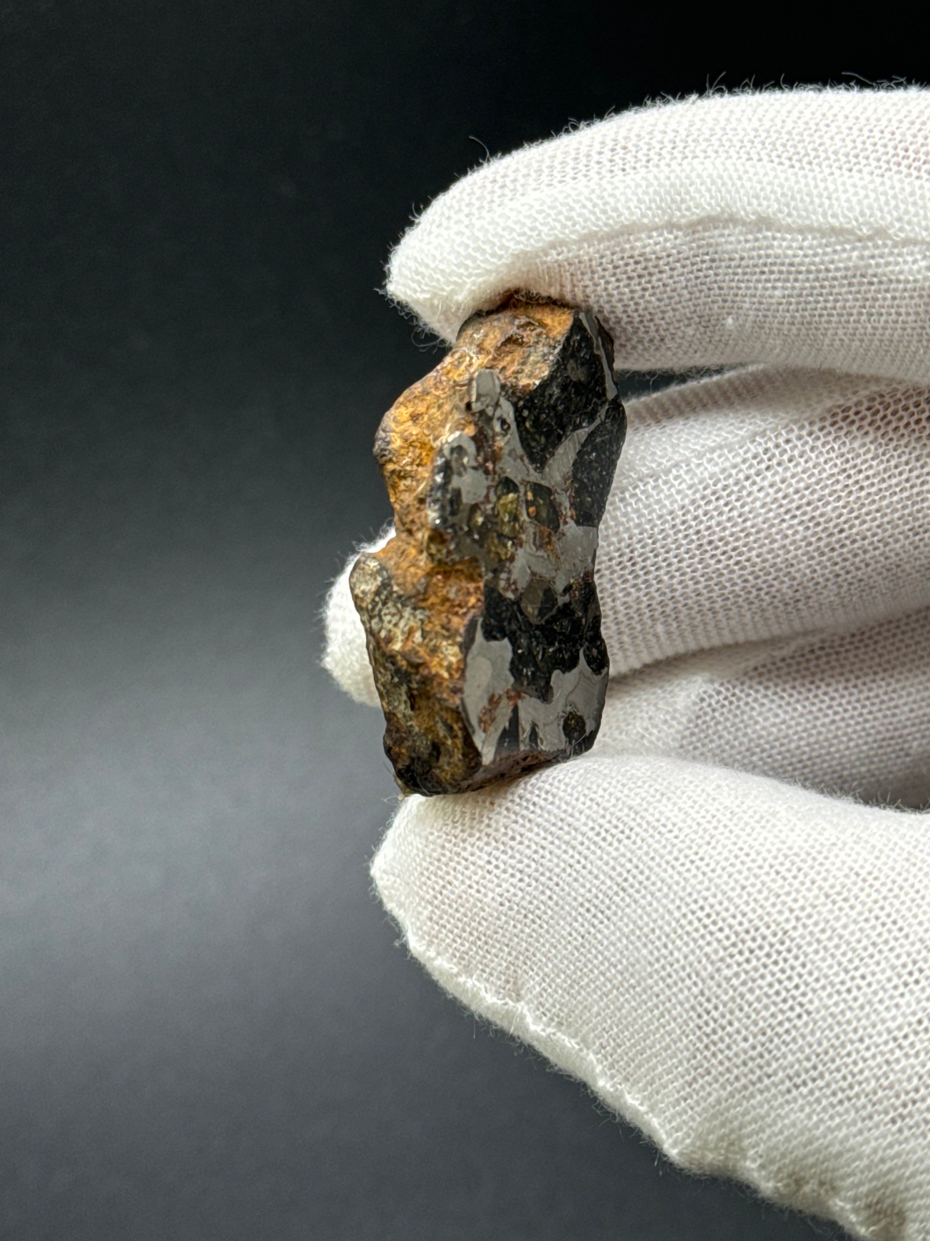SERICHO PALLASITE METEORITE, KENYA. 31,69 GRAMS END-CUT.