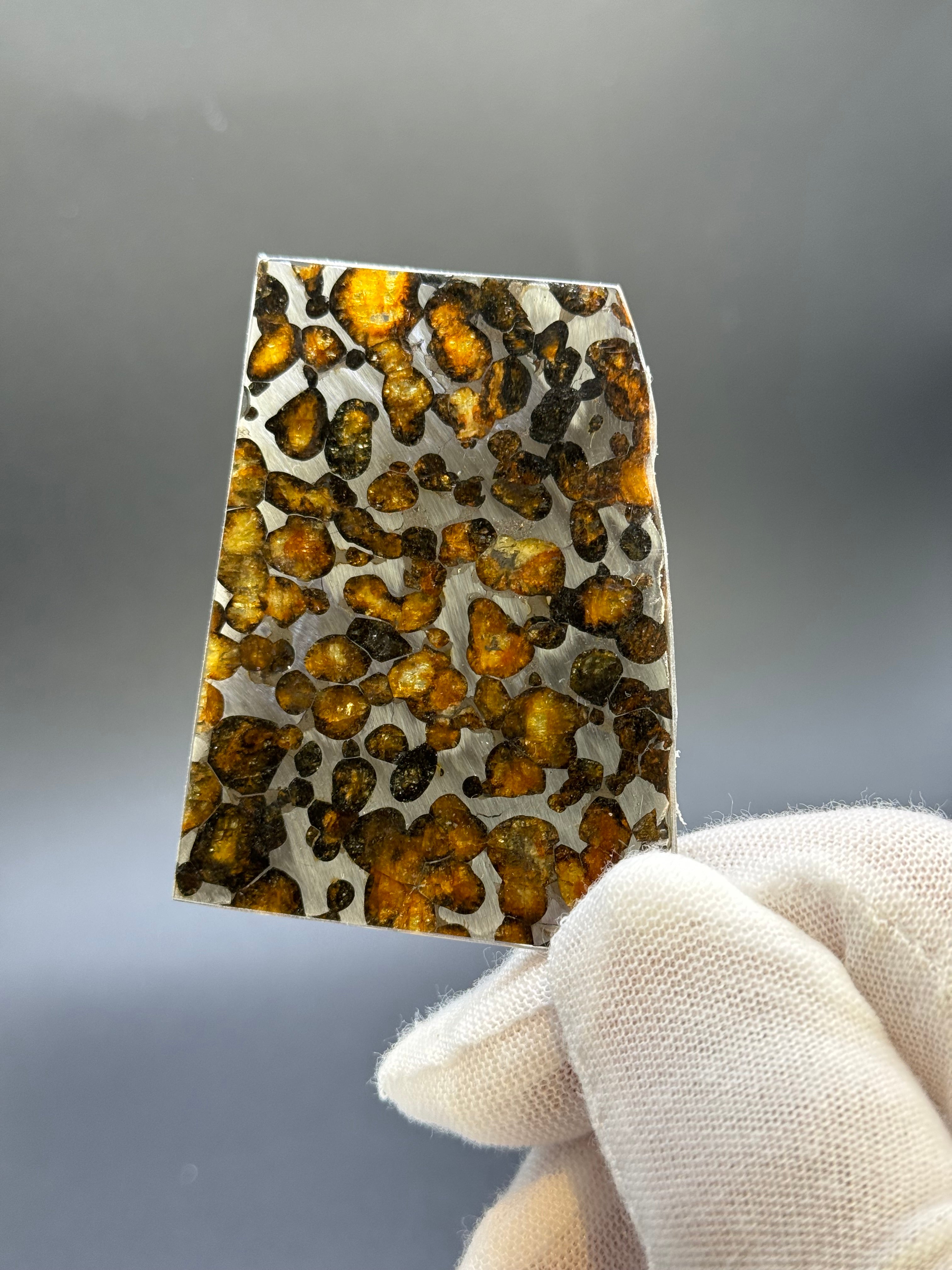 SERICHO METEORITE, KENYA. 22,40 GRAMS SLICE.