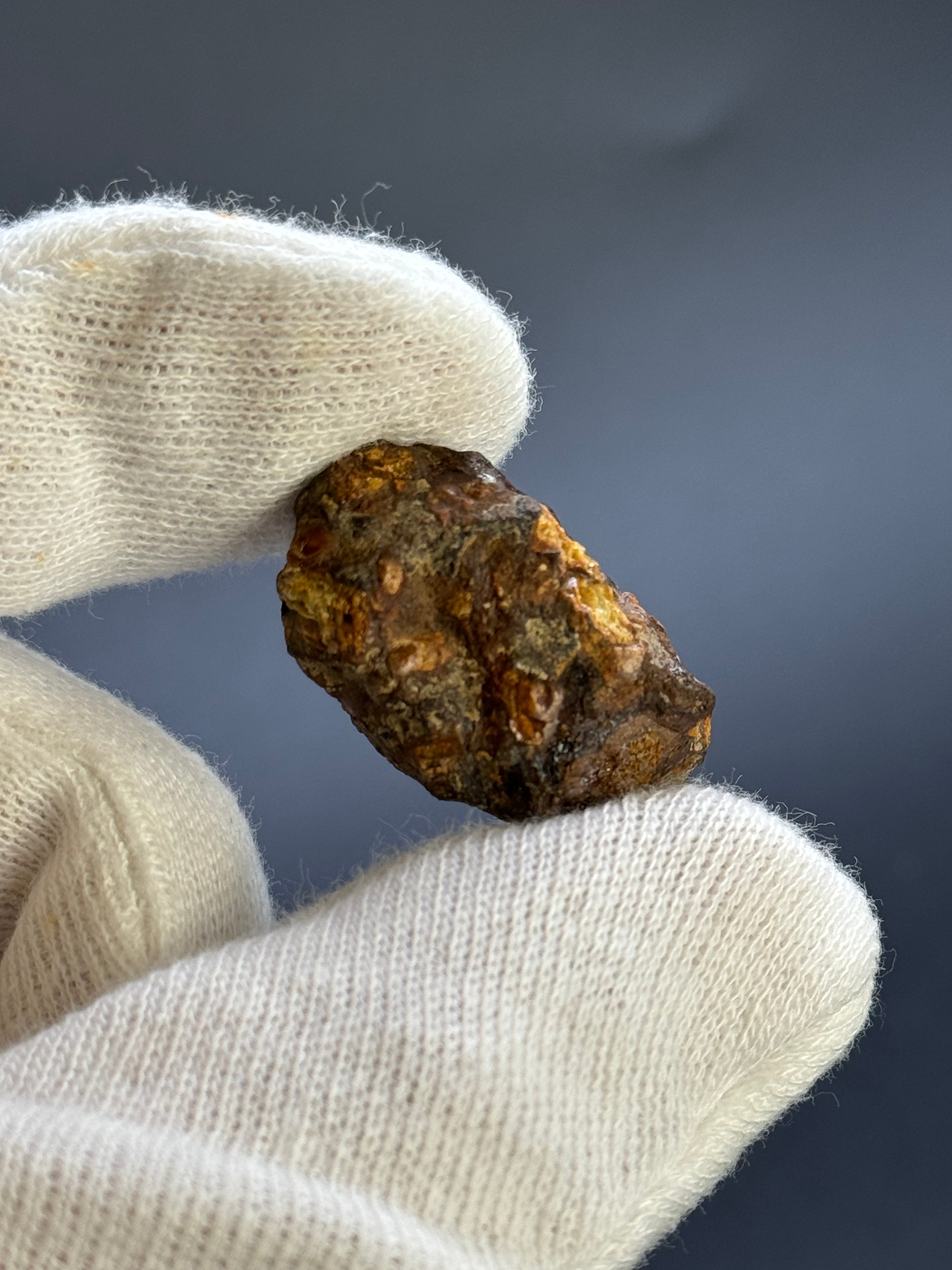 SERICHO PALLASITE METEORITE, KENYA. 13,40 GRAMS END-CUT