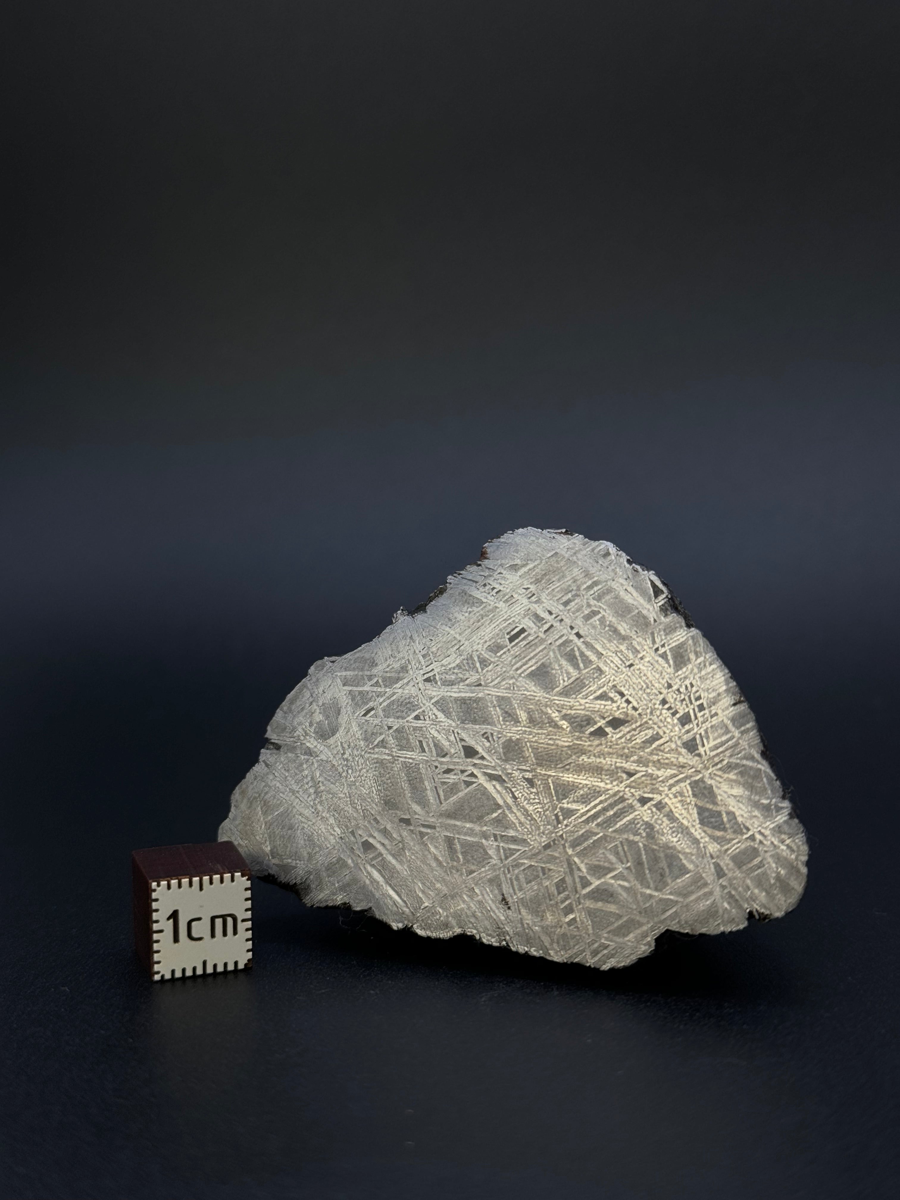 MUONIONALUSTA METEORITE, SWEDEN. 242 GRAMS END-CUT.