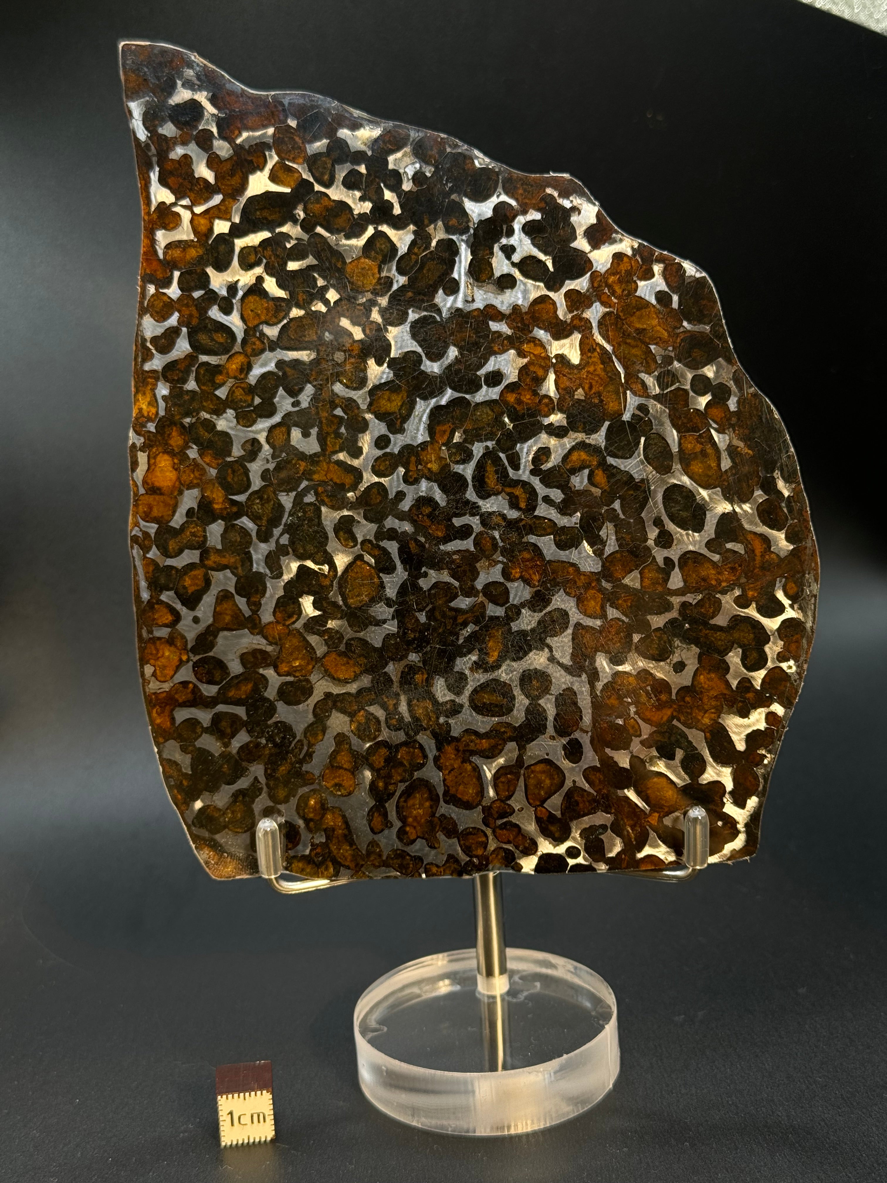 SERICHO METEORITE, KENYA. 97 GRAMS SLICE