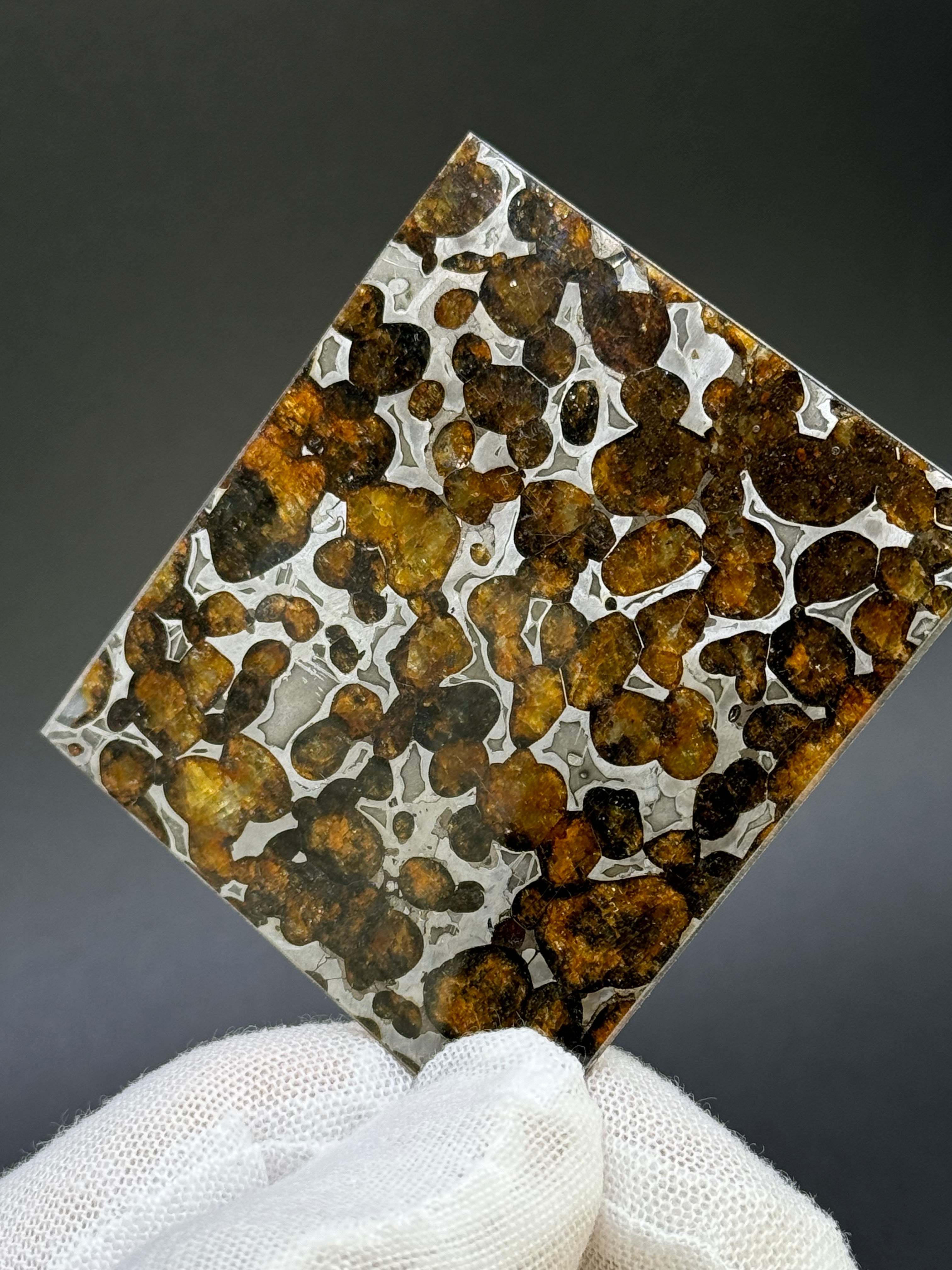 SERICHO METEORITE, KENYA. 22,24 GRAMS SLICE