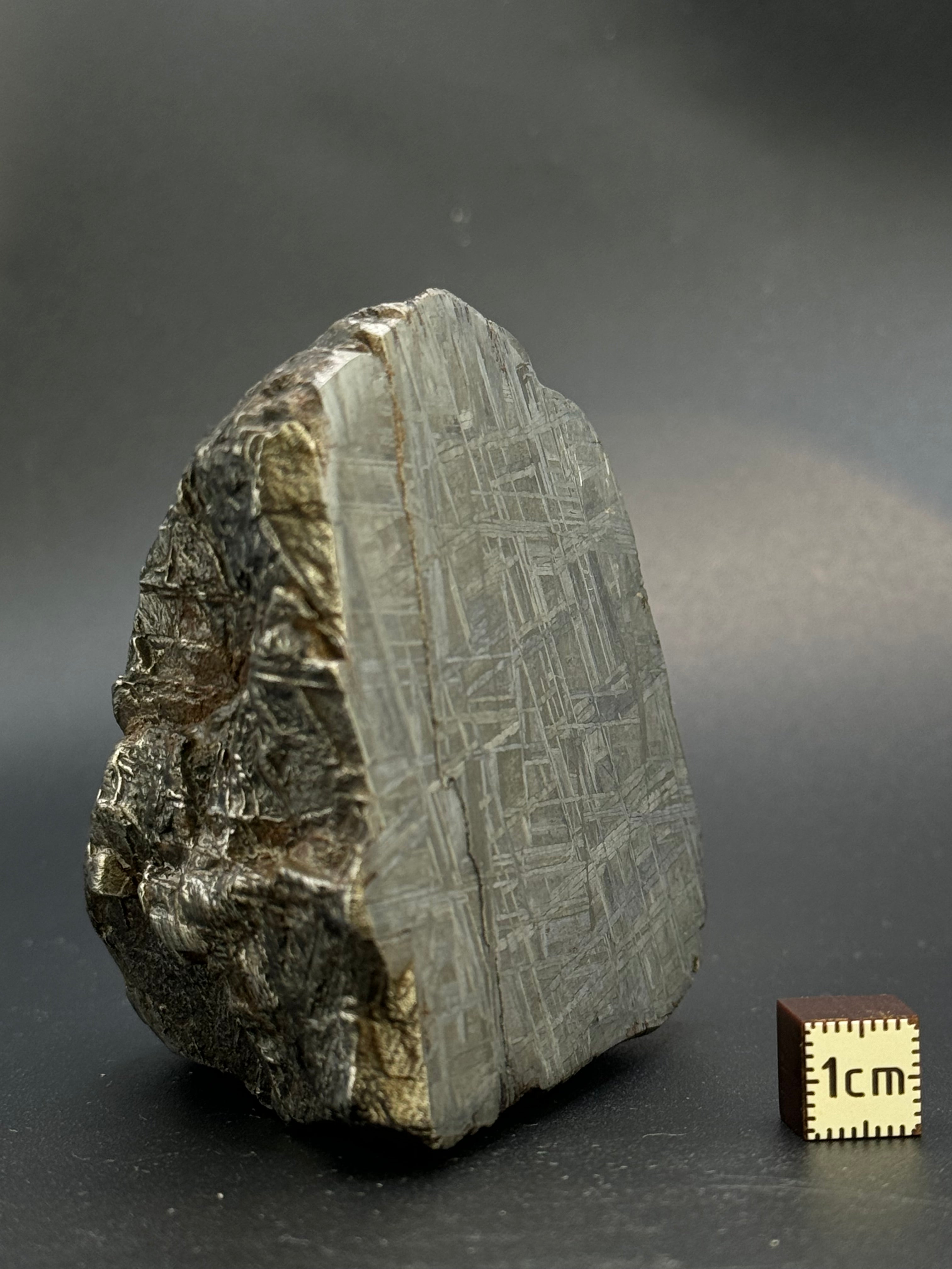 MUONIONALUSTA METEORITE, SWEDEN. 701 GRAMS END-CUT.