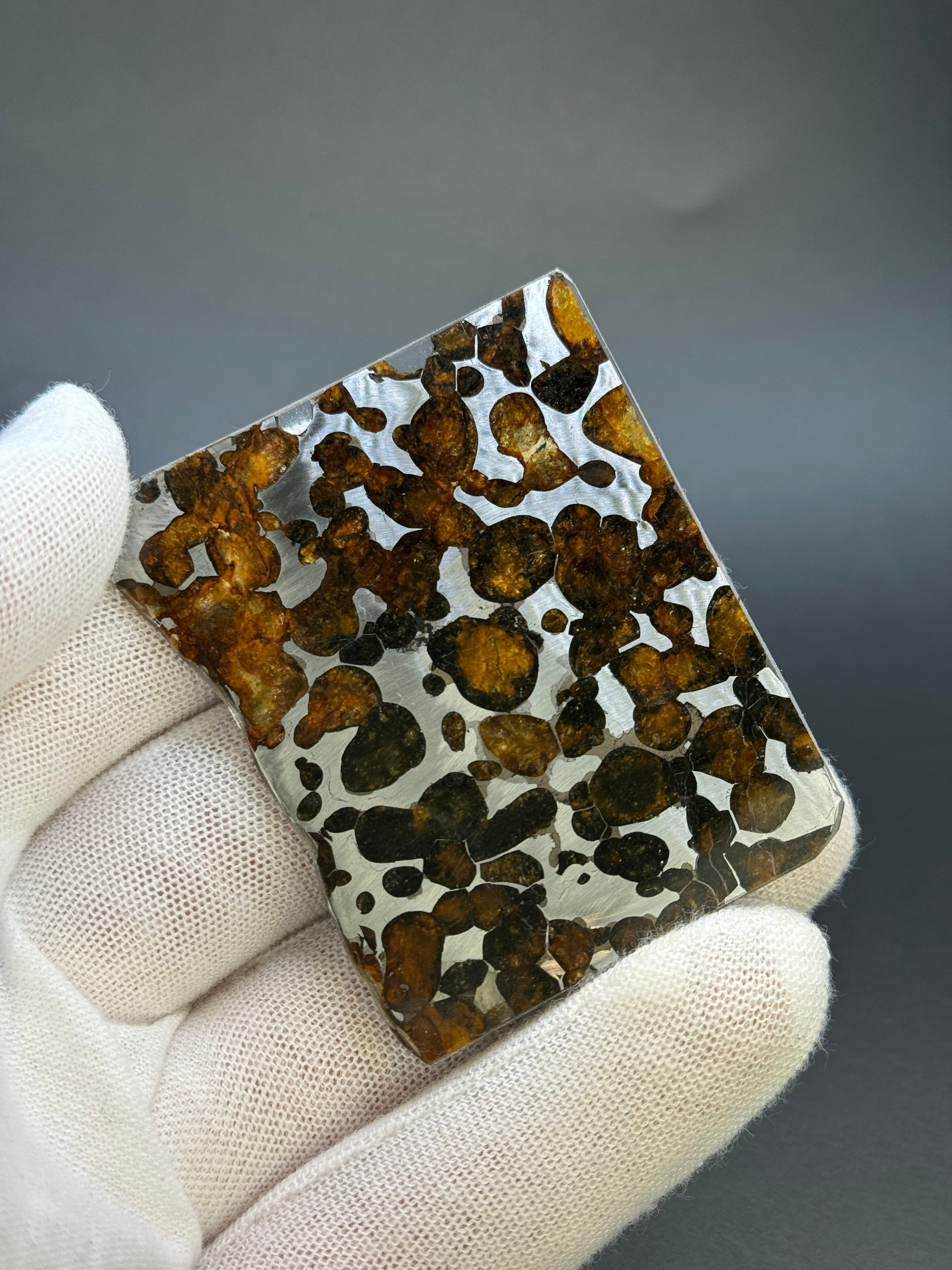 SERICHO METEORITE, KENYA. 21,80 GRAMS SLICE