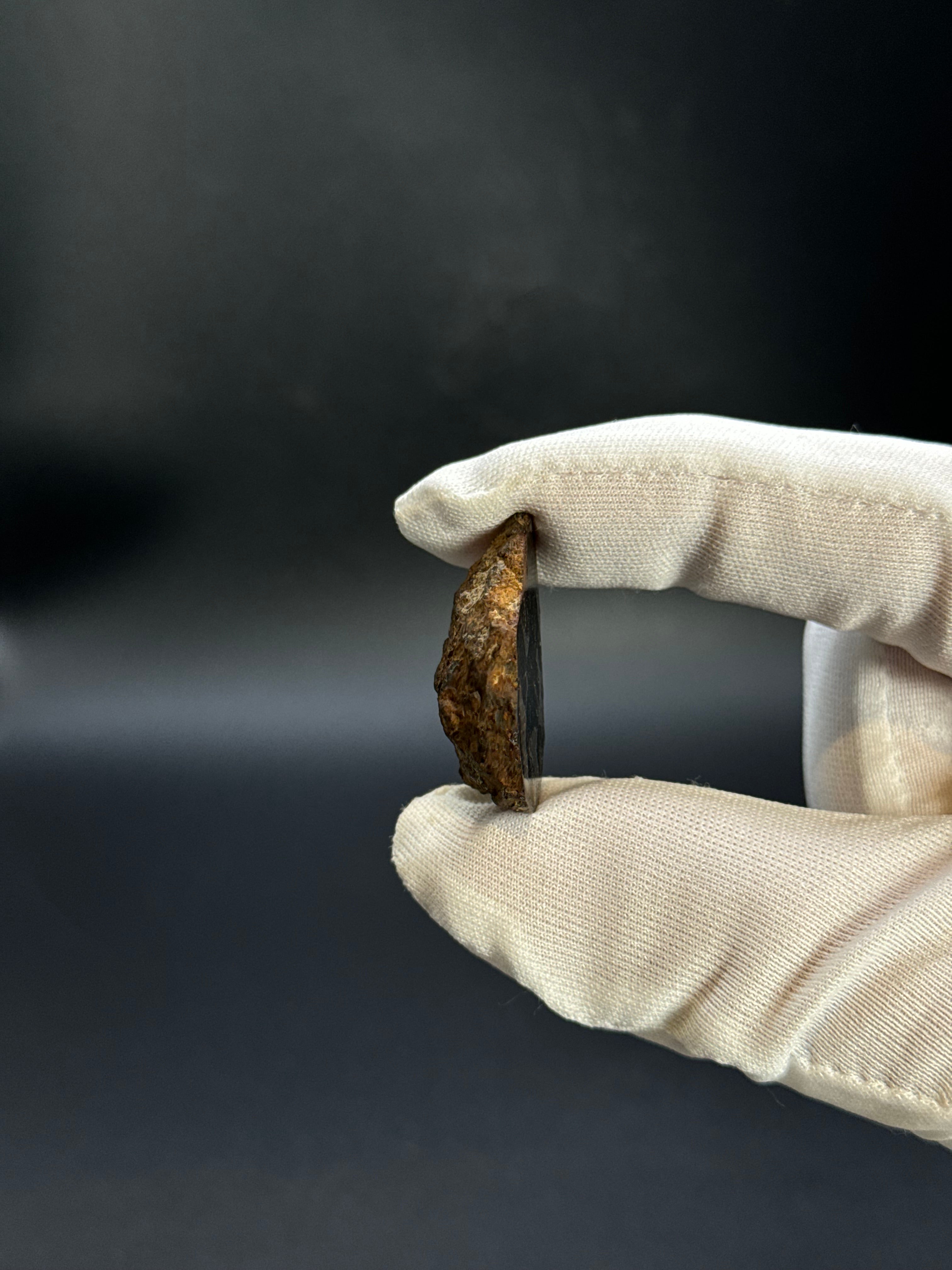 SERICHO PALLASITE METEORITE, KENYA. 12,47 GRAMS END-CUT.