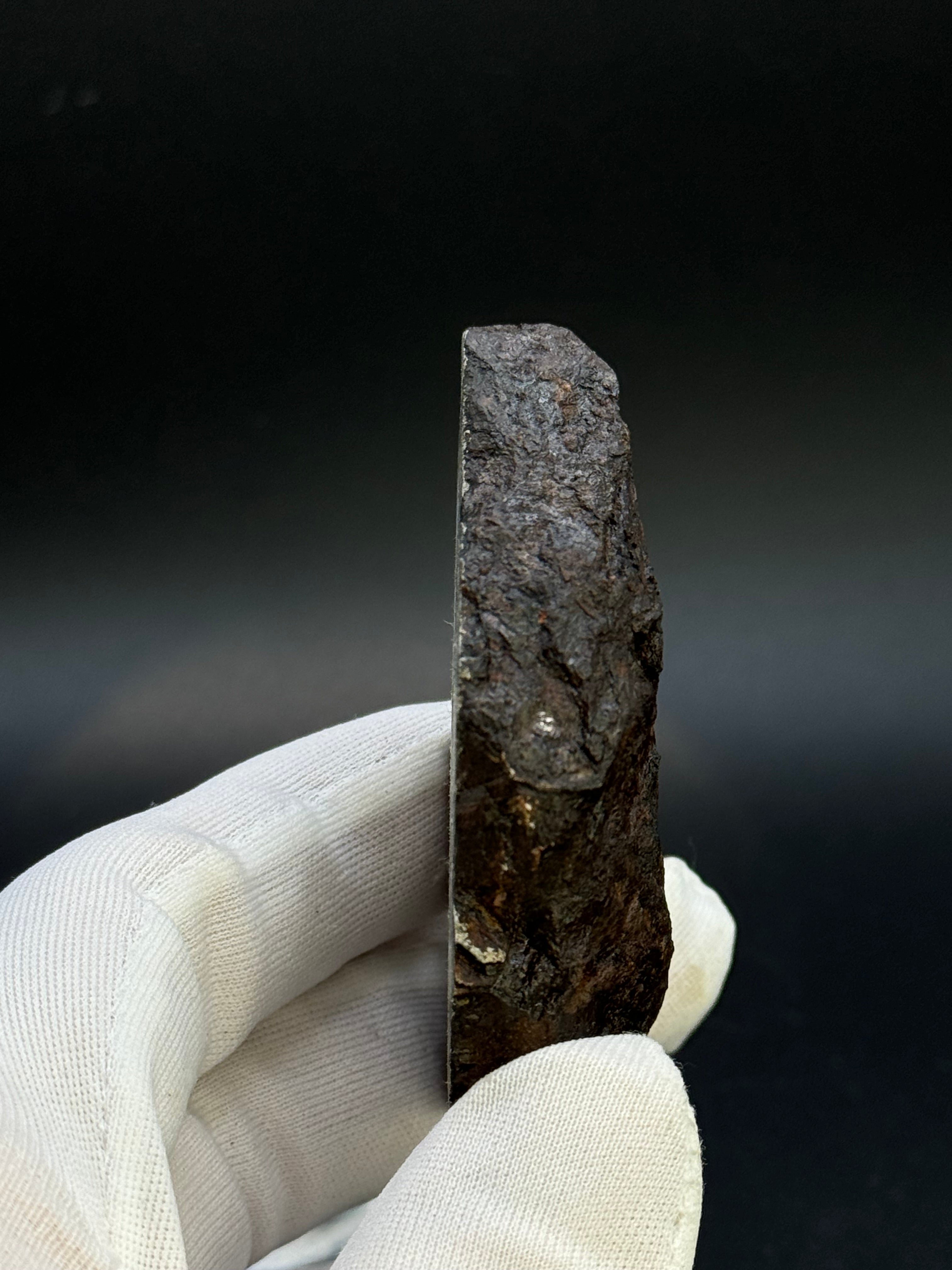 MUONIONALUSTA METEORITE, SWEDEN. 226 GRAMS END-CUT.
