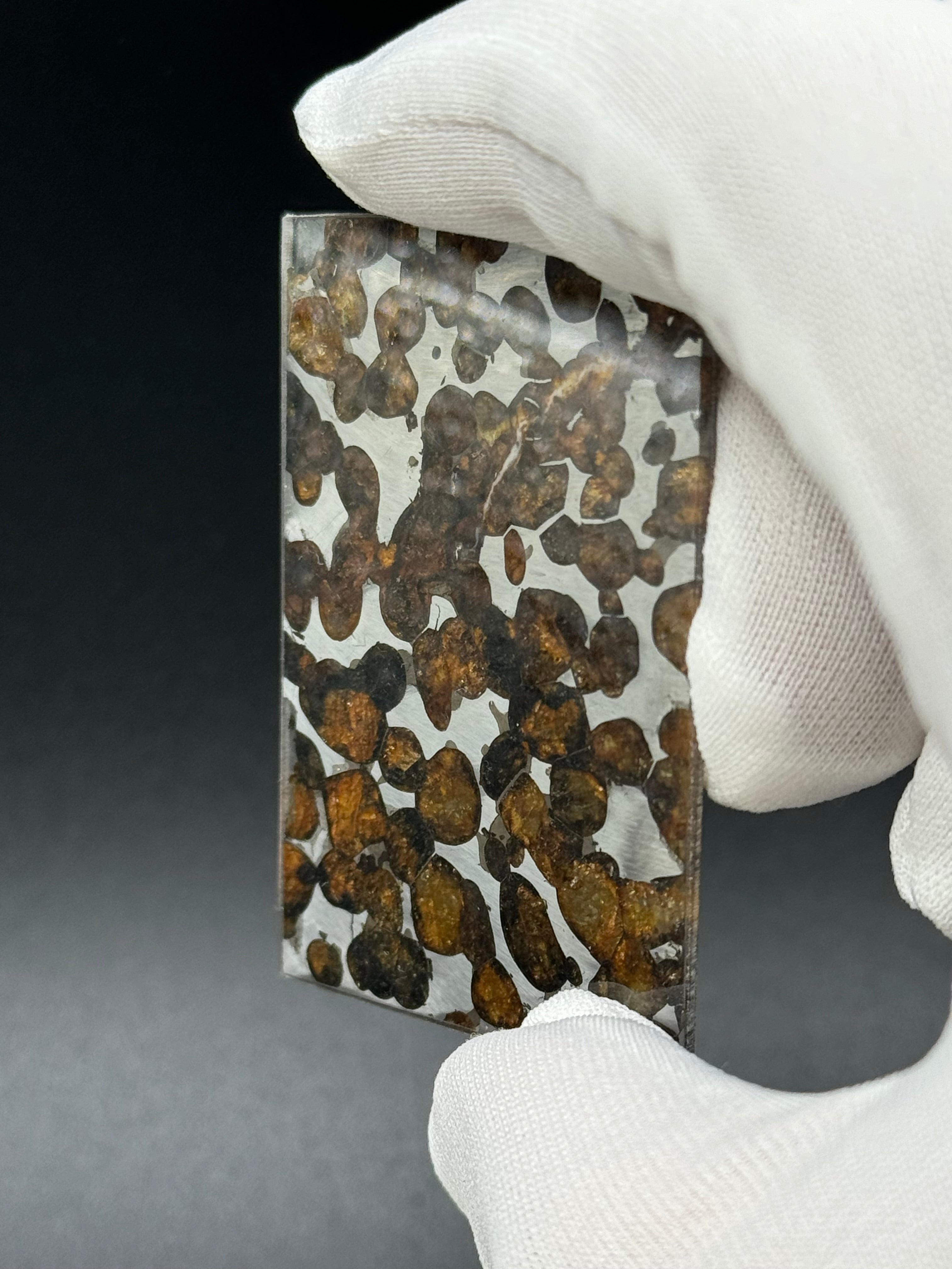 SERICHO METEORITE, KENYA. 10,36 GRAMS SLICE