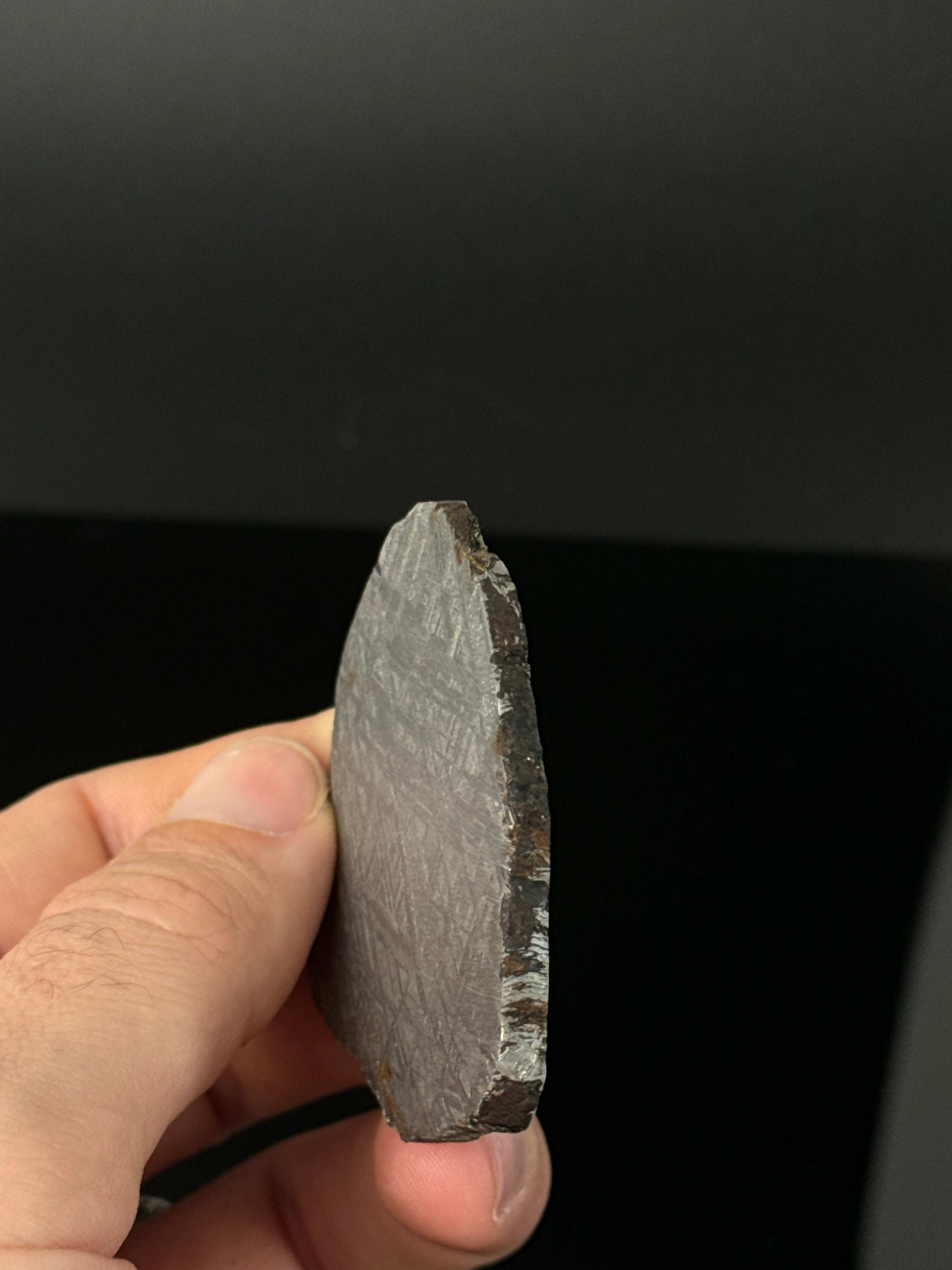 MUONIONALUSTA METEORITE, SWEDEN 80,80 GRAMS.