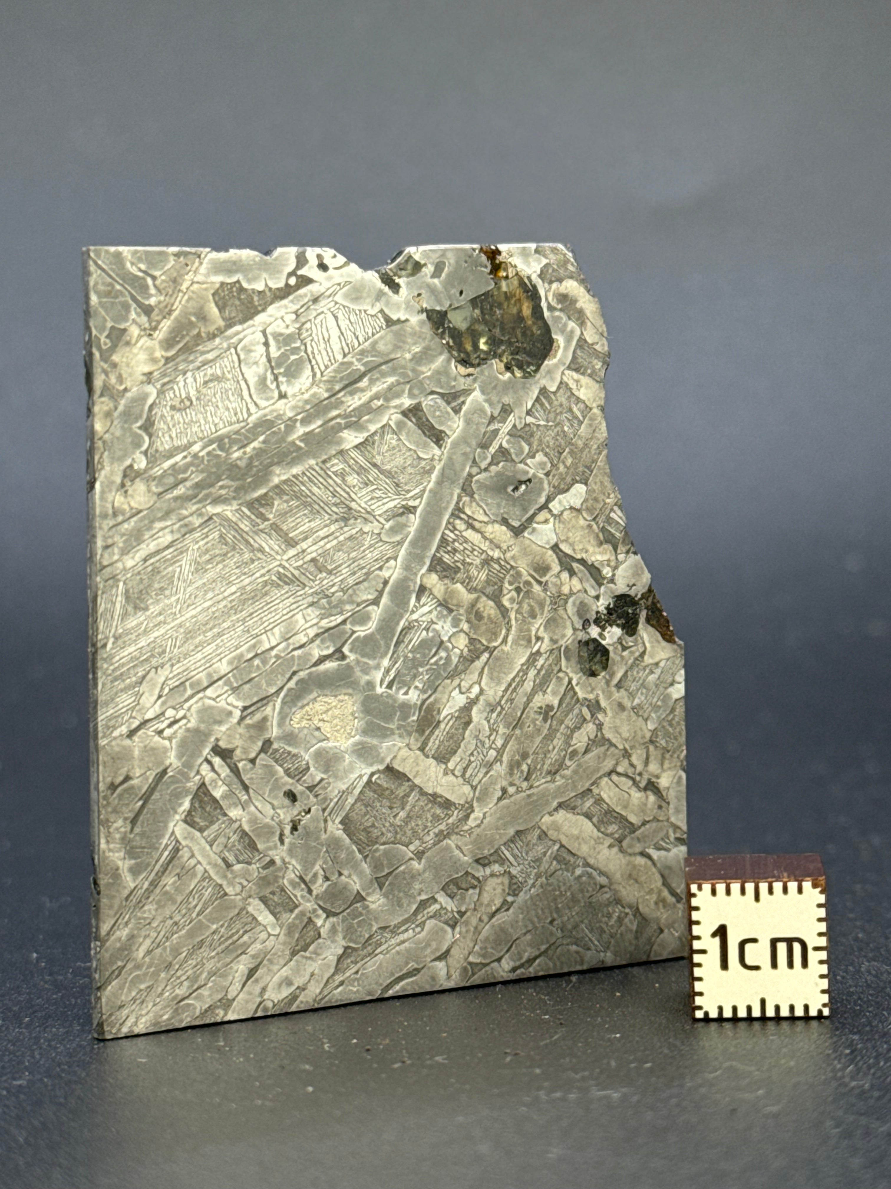 SEYMCHAN METEORITE, MAGADAN REGION, RUSSIA. 31,3 GRAMS.