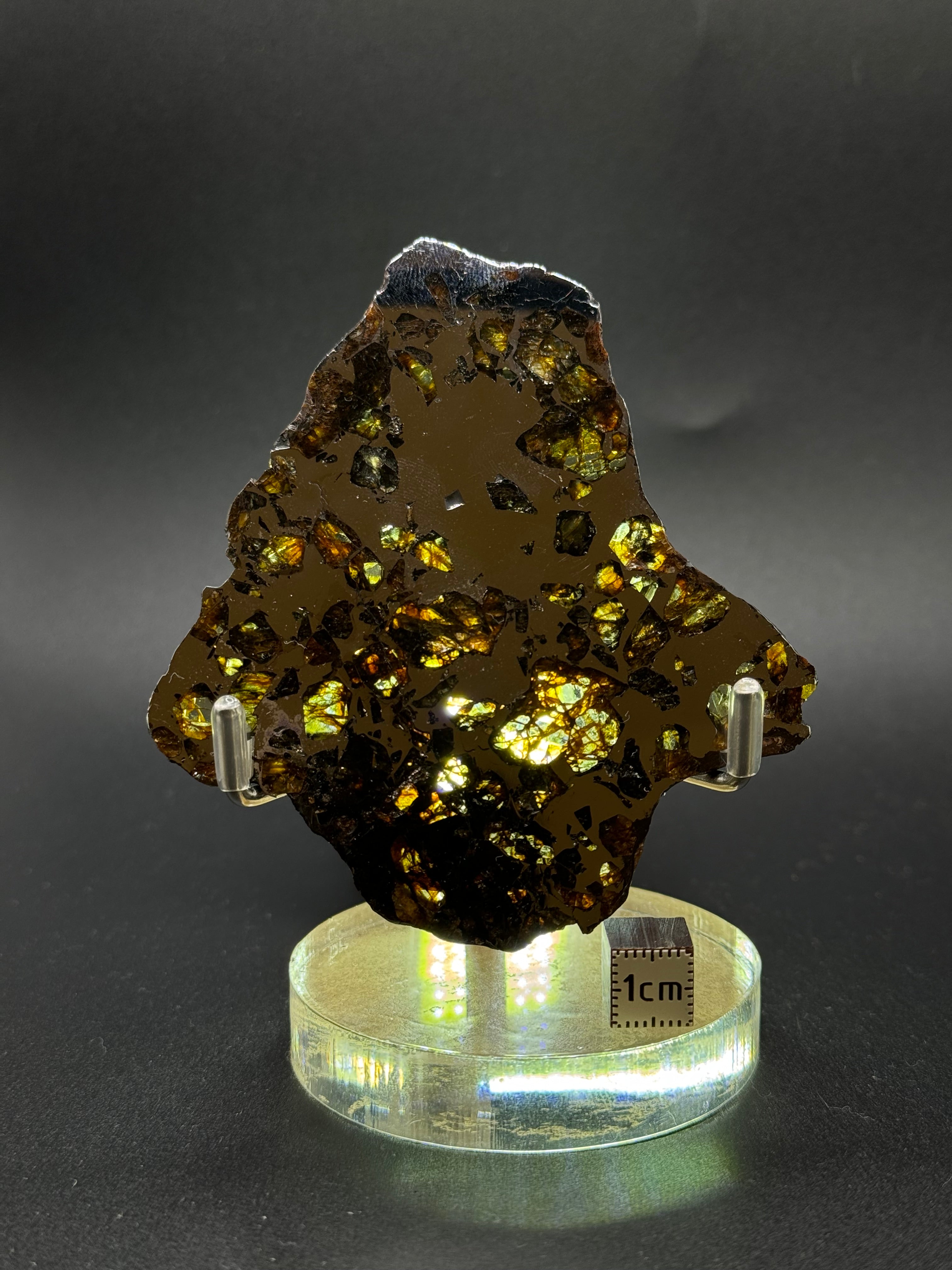 SEYMCHAN METEORITE, MAGADAN REGION, RUSSIA. 41,1 GRAMS.