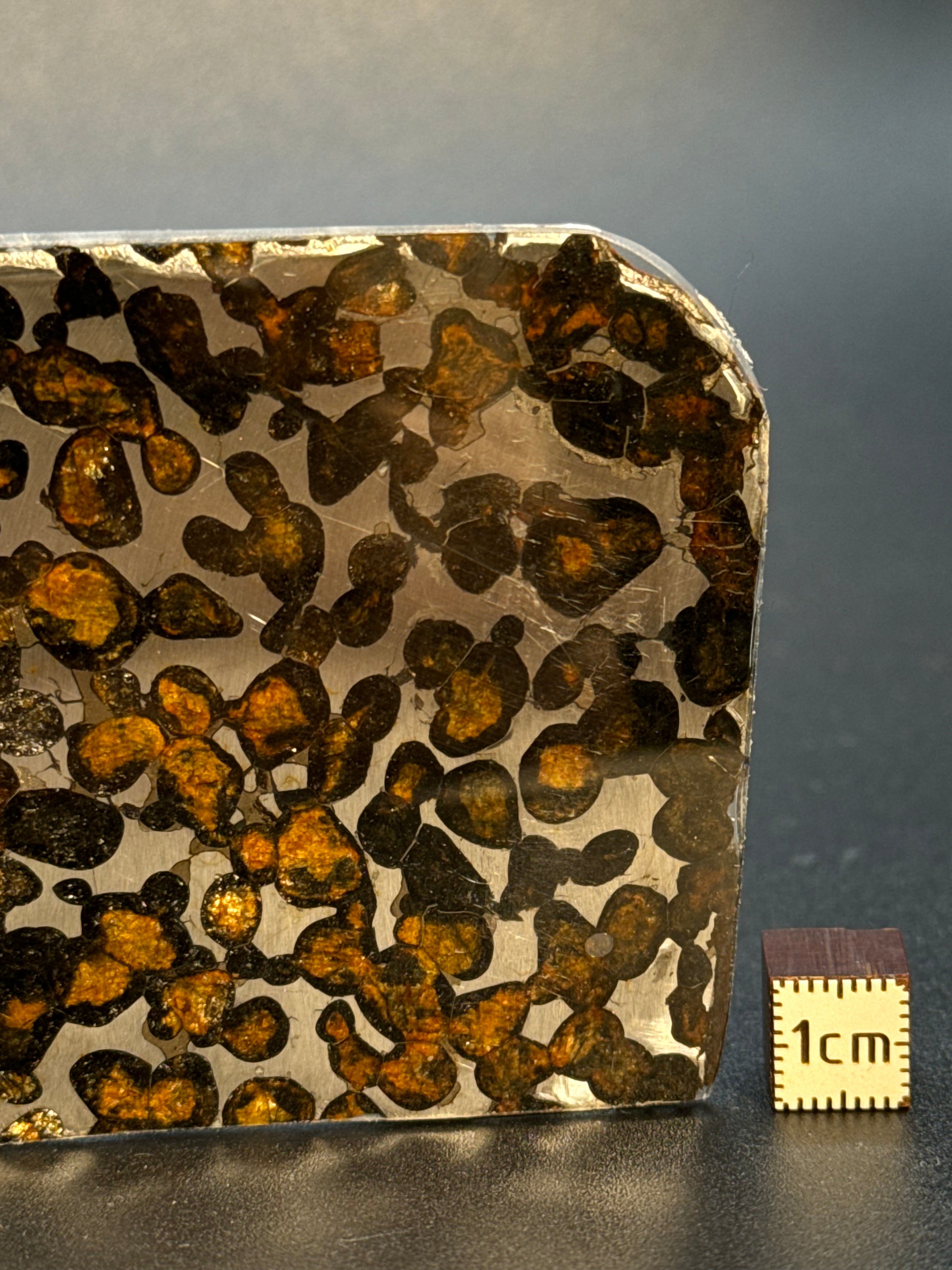 SERICHO METEORITE, KENYA. 32 GRAMS SLICE