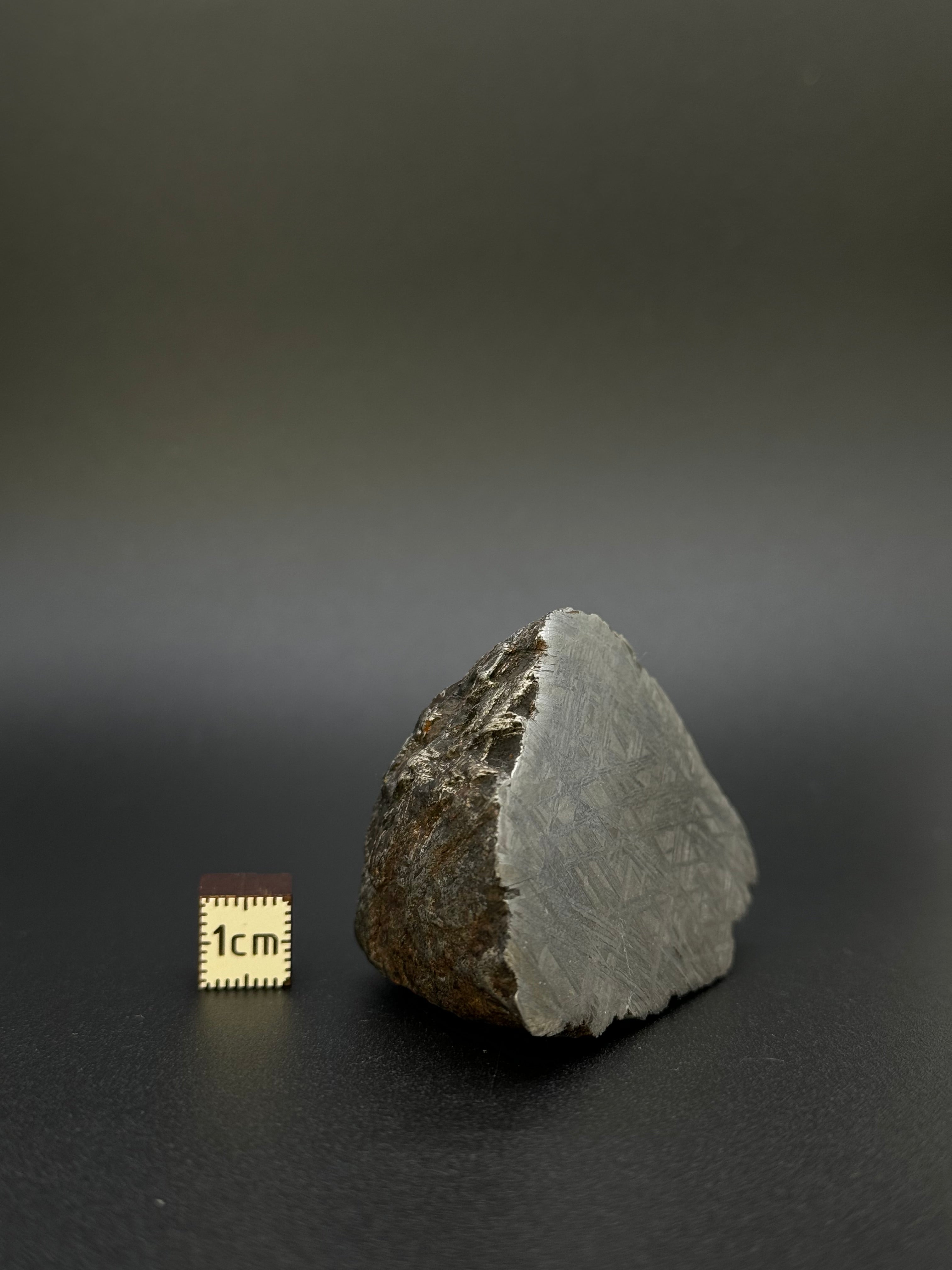 MUONIONALUSTA METEORITE, SWEDEN. 242 GRAMS END-CUT.