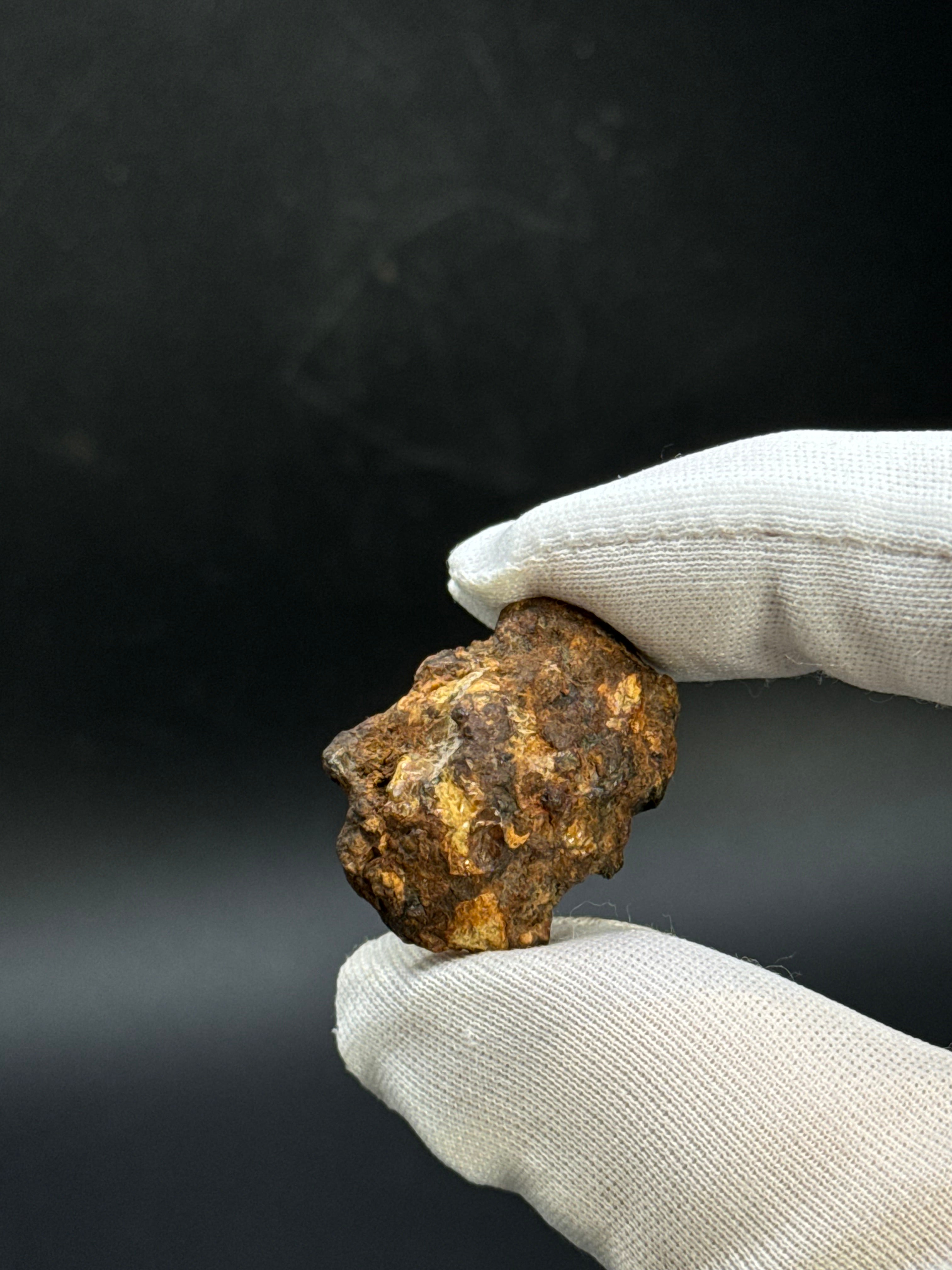 SERICHO PALLASITE METEORITE, KENYA. 9 GRAMS END-CUT.