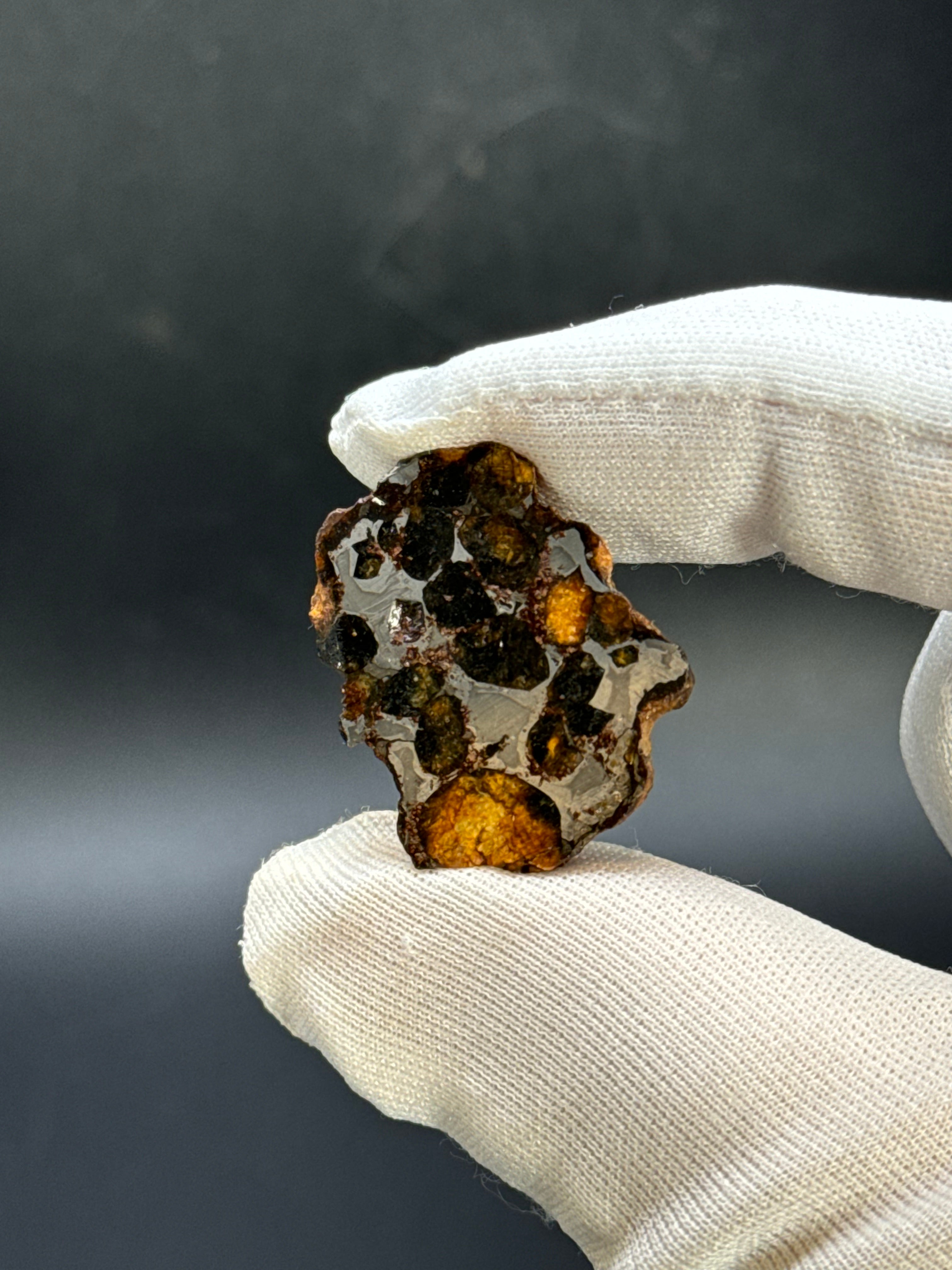 SERICHO PALLASITE METEORITE, KENYA. 9 GRAMS END-CUT.