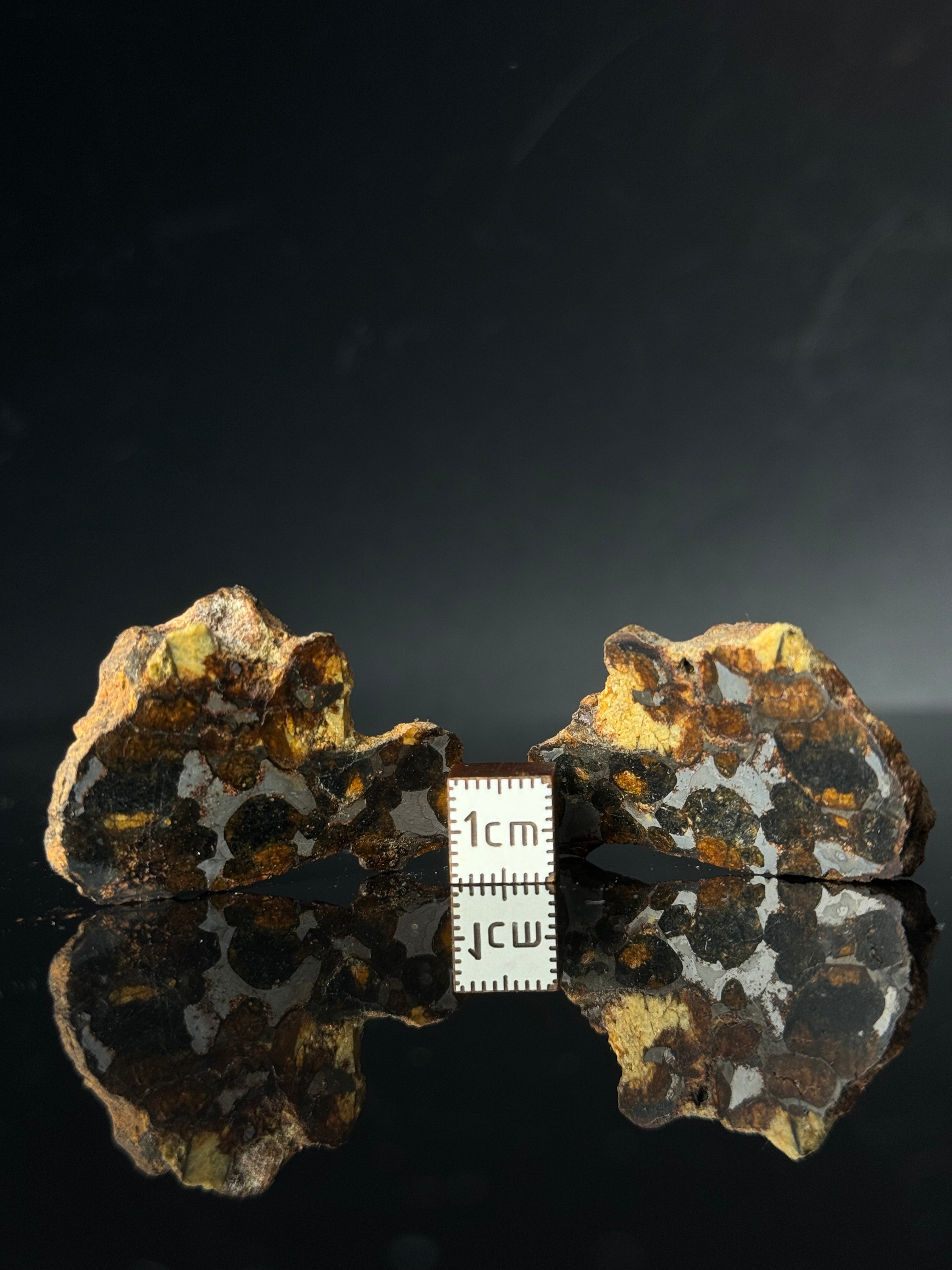 FULL SERICHO METEORITE FROM KENYA, IN TWO HALVES. TOTAL WEIGHT: 51,5 GRAMS.