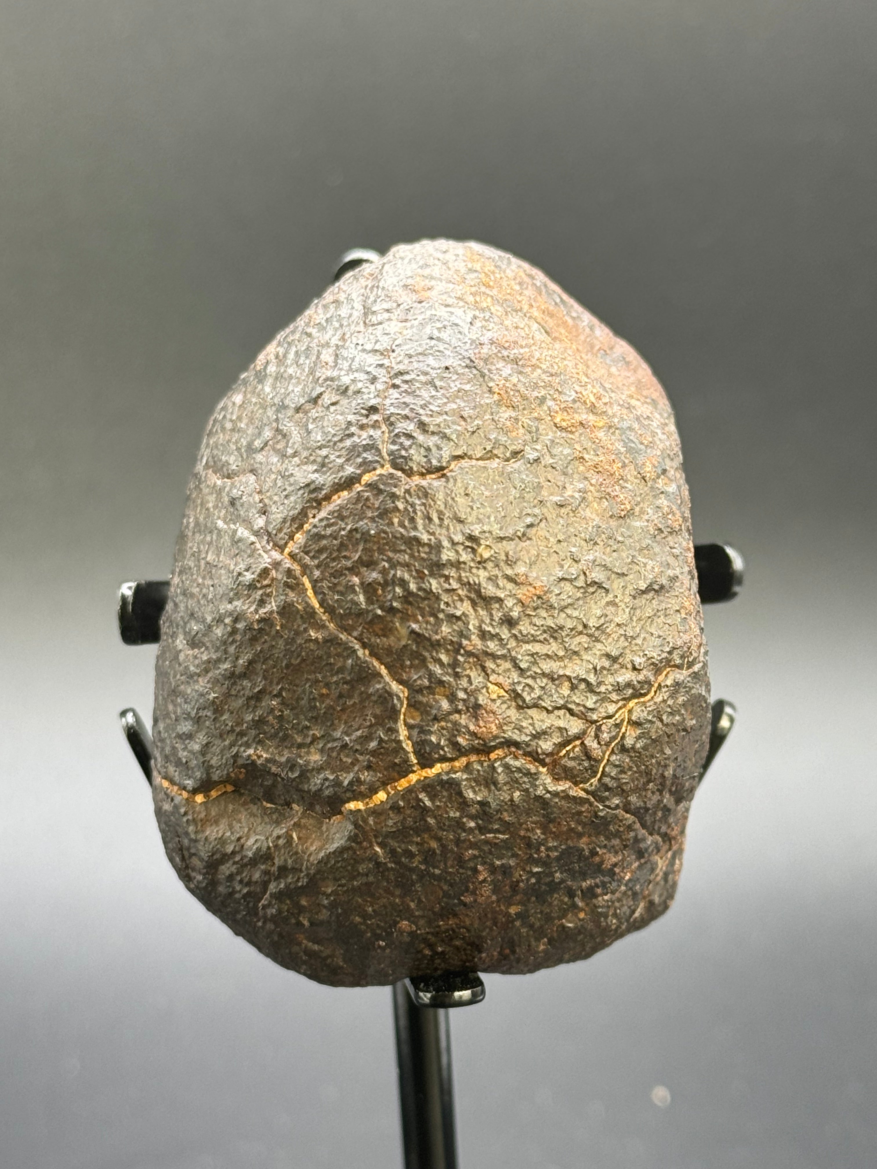 CHONDRITE METEORITE, NORTH WEST AFRICA. 178 GRAMS.