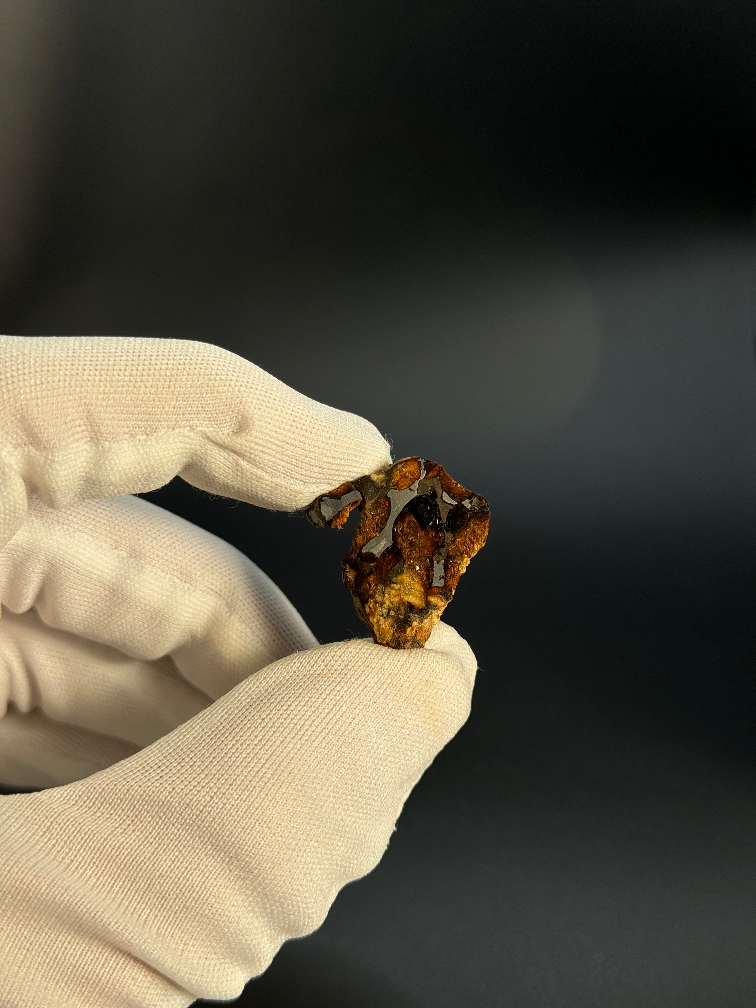 SERICHO PALLASITE METEORITE, KENYA. 5,98 GRAMS END-CUT