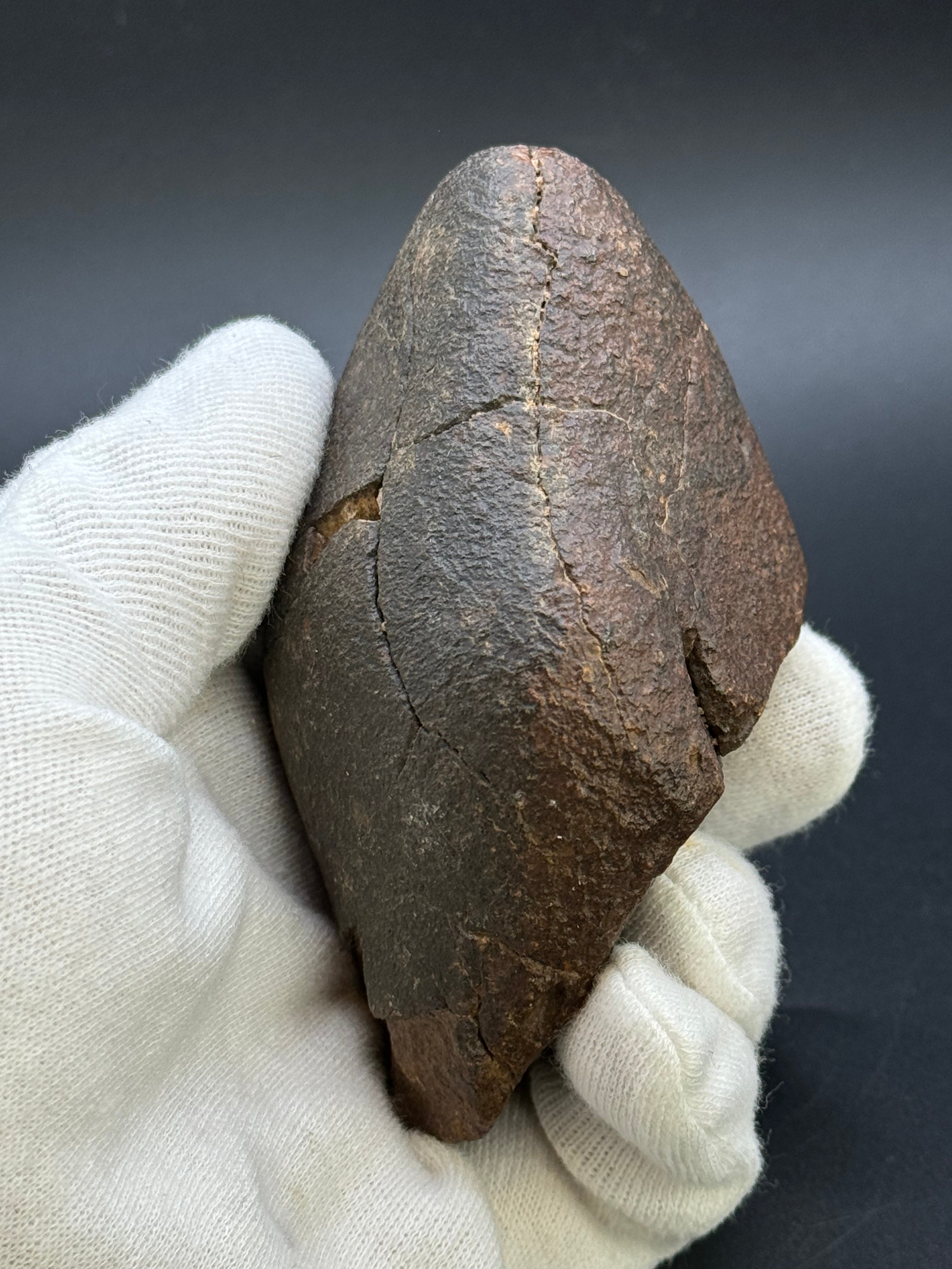 CHONDRITE METEORITE, NORTH WEST AFRICA. 421 GRAMS.