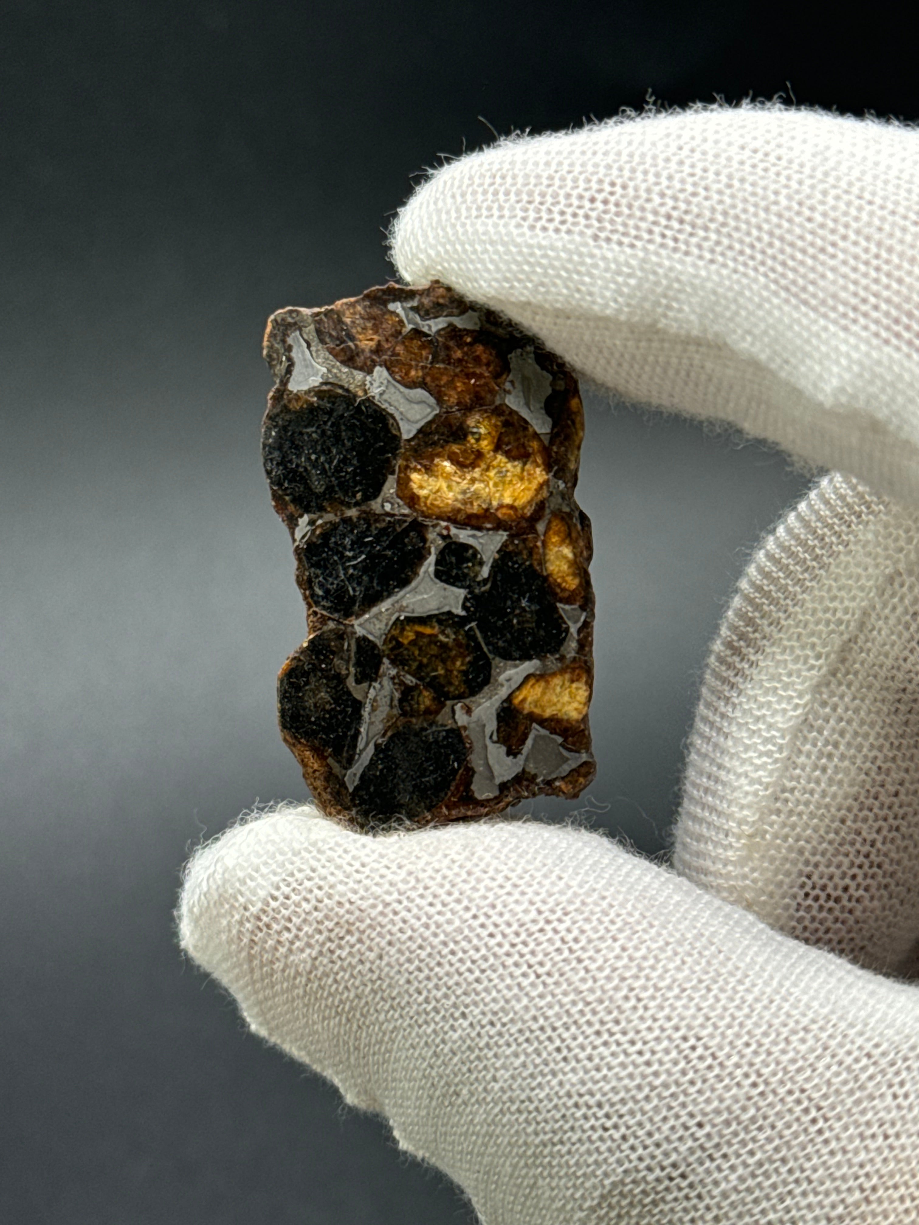 SERICHO PALLASITE METEORITE, KENYA. 13,59 GRAMS END-CUT