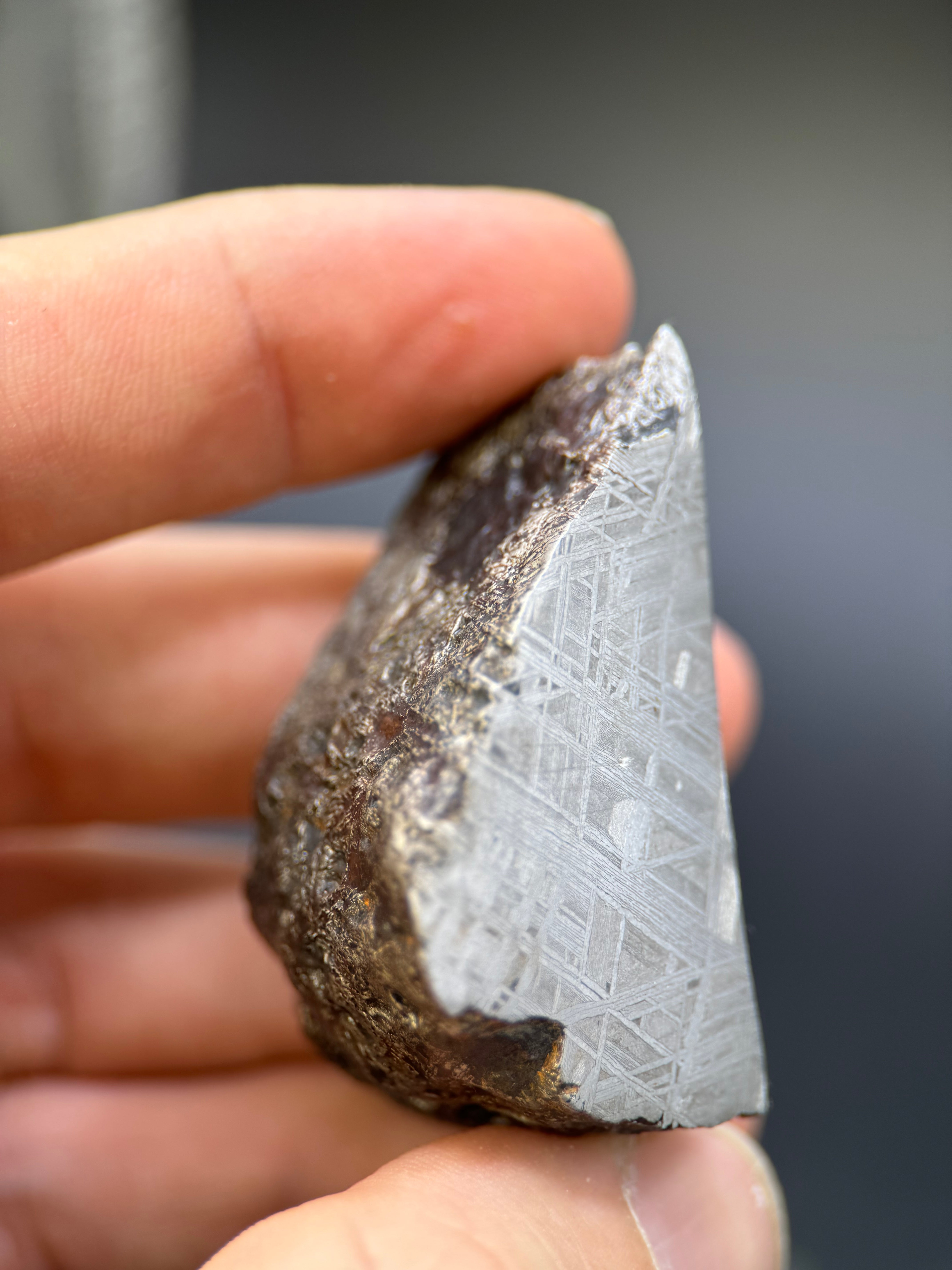 MUONIONALUSTA METEORITE, SWEDEN. 141,05 GRAMS END-CUT