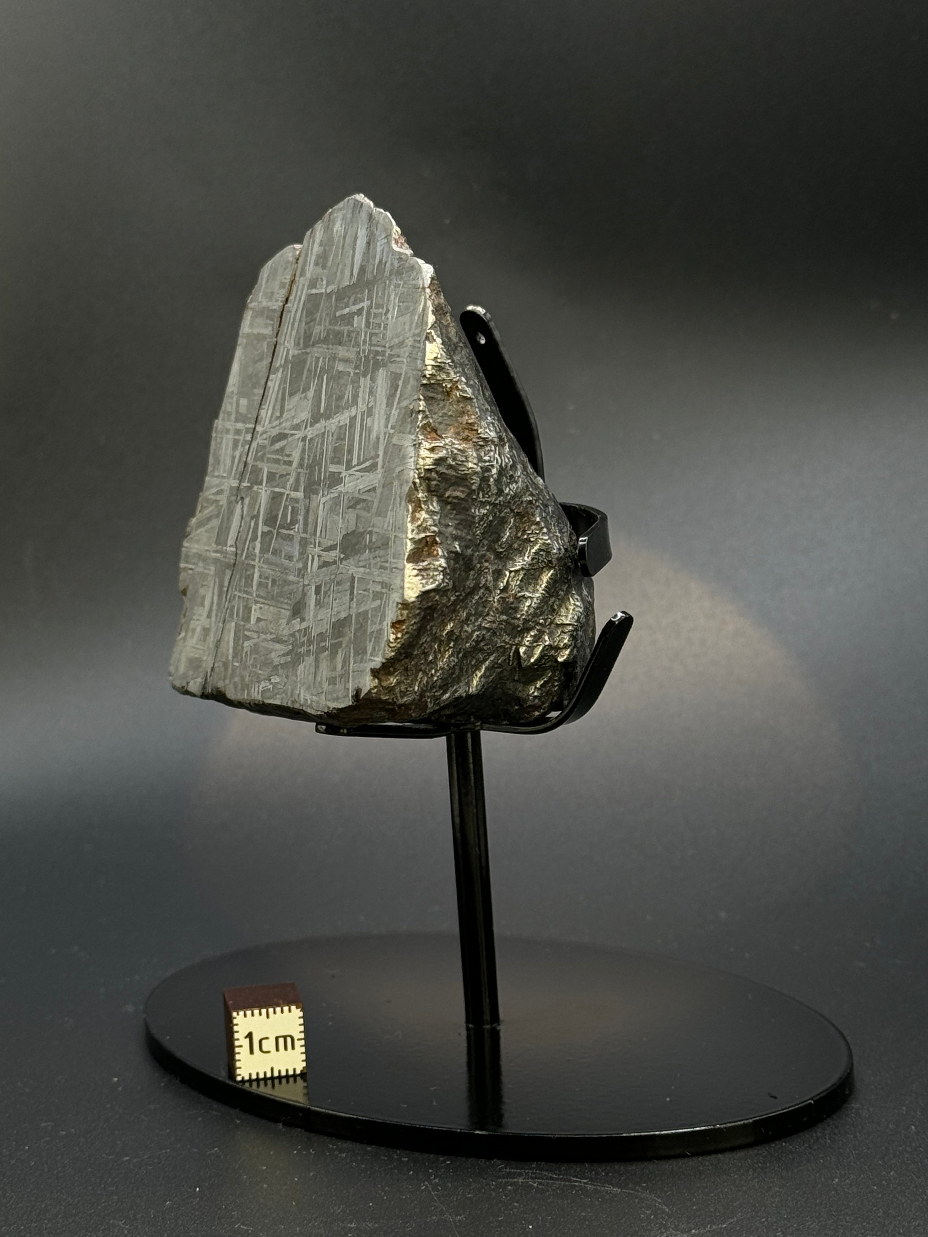 MUONIONALUSTA METEORITE, SWEDEN. 701 GRAMS END-CUT.