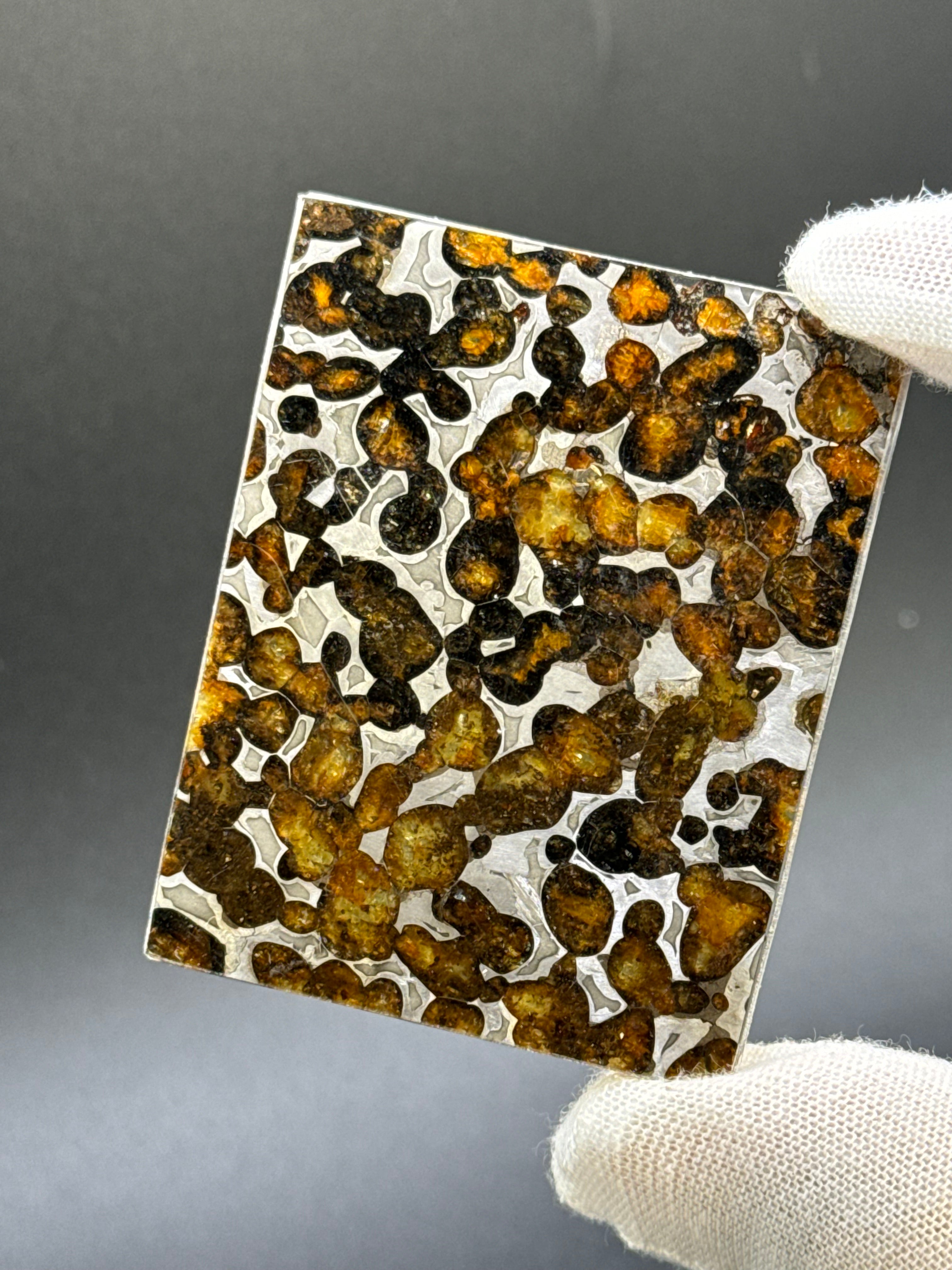 SERICHO METEORITE, KENYA. 26,10 GRAMS.