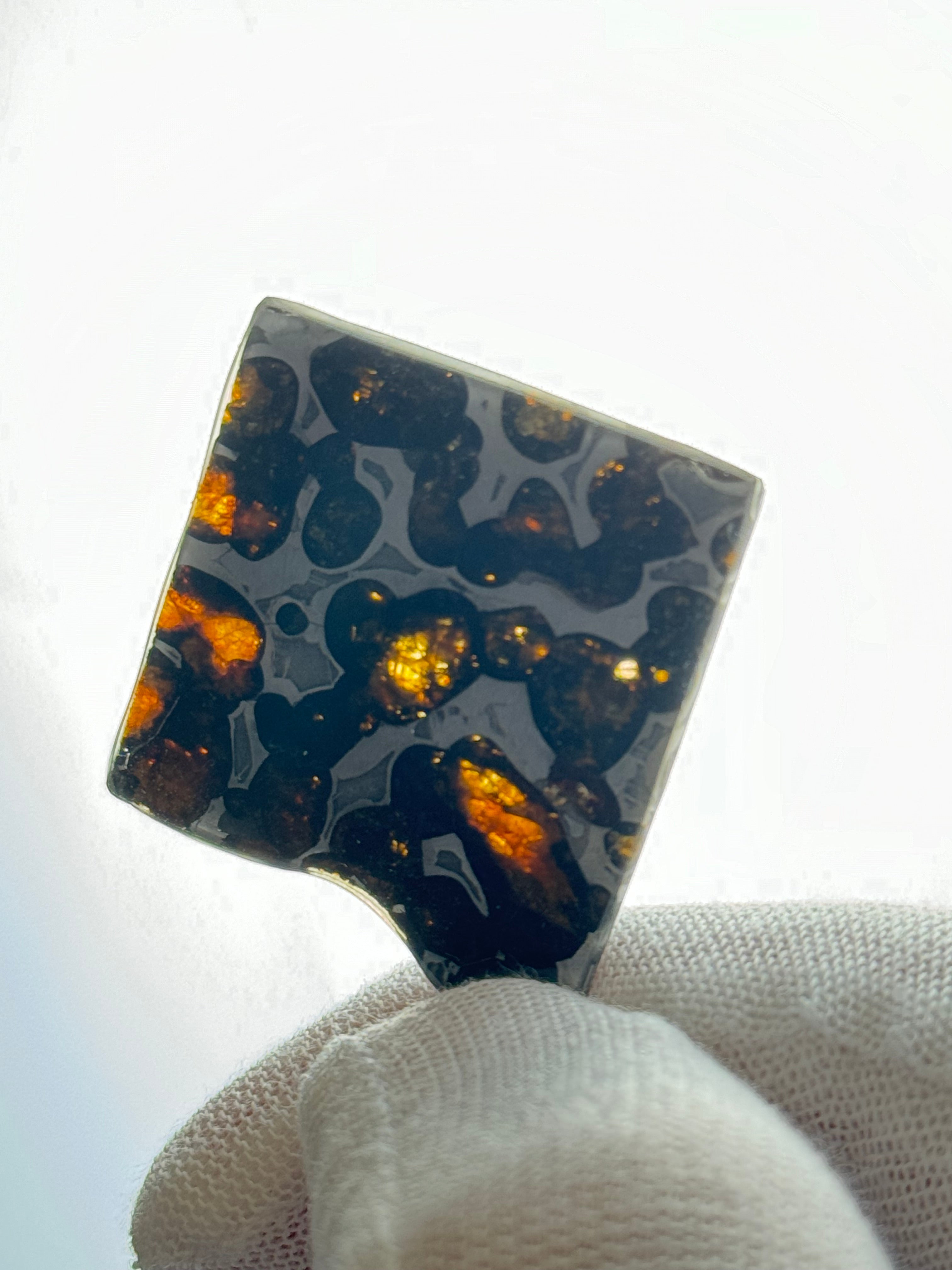 SERICHO METEORITE, KENYA. 7,1 GRAMS SLICE,